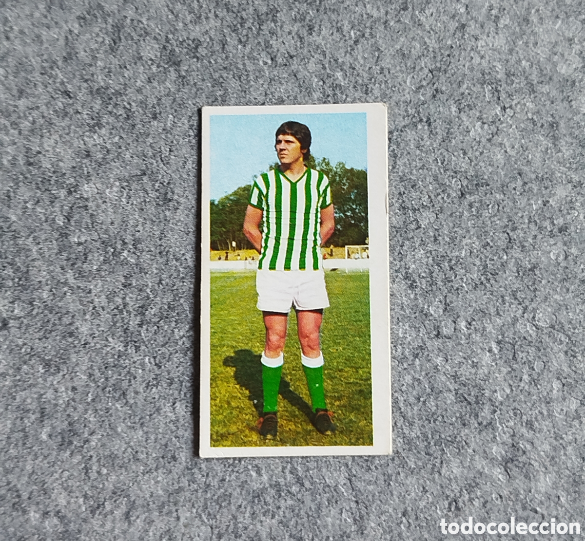 Cromos de f&uacute;tbol: SIN PEGAR LOBATO BETIS 75 76 1975 1976 EDICIONES ESTE NUNCA PEGADO CROMO