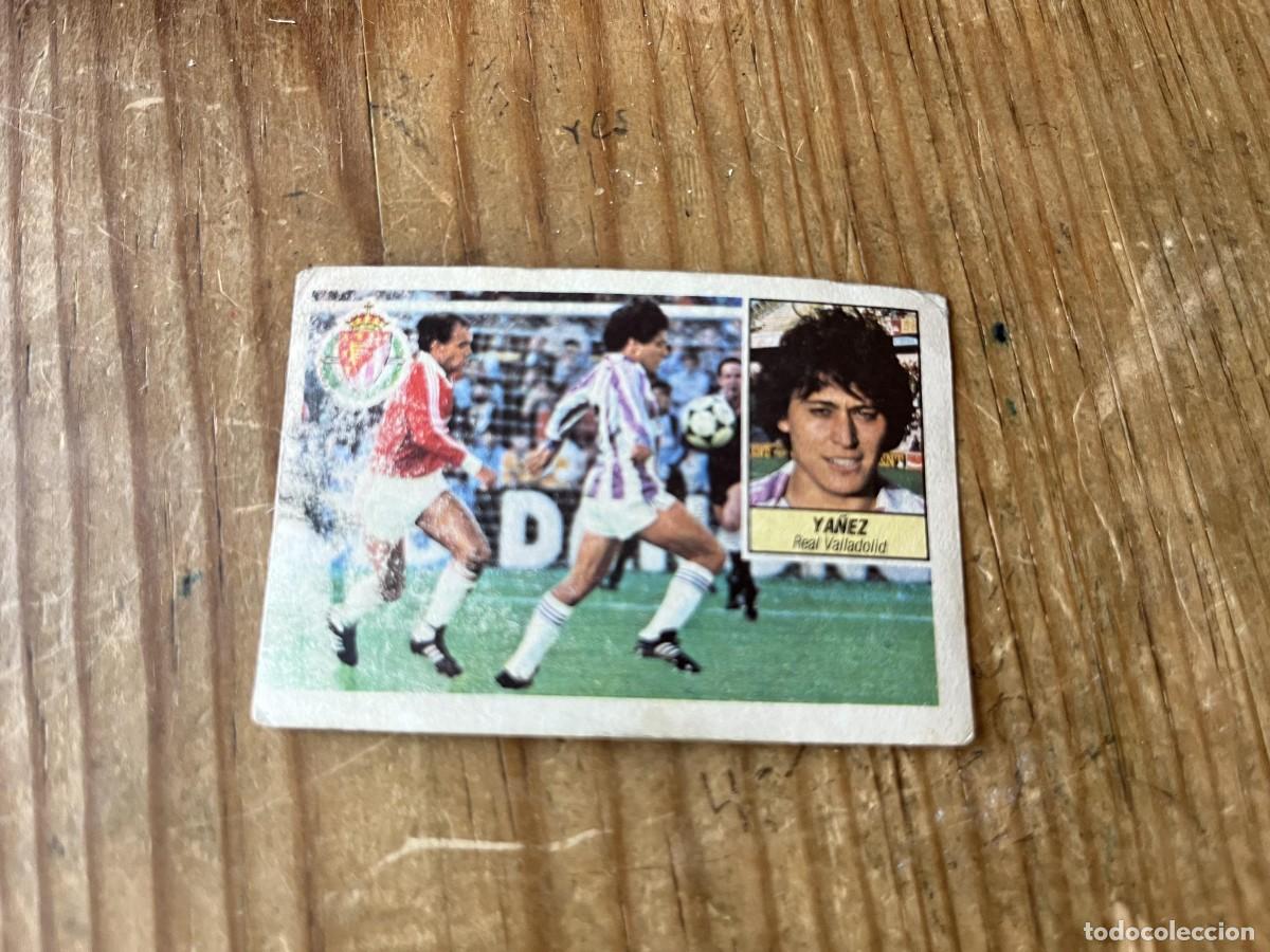 Figurine di Calcio: CROMO SIN PEGAR NUNCA PEGADO ALBUM LIGA ESTE 84 85 1984 1985 REAL VALLADOLID YA&Ntilde;EZ