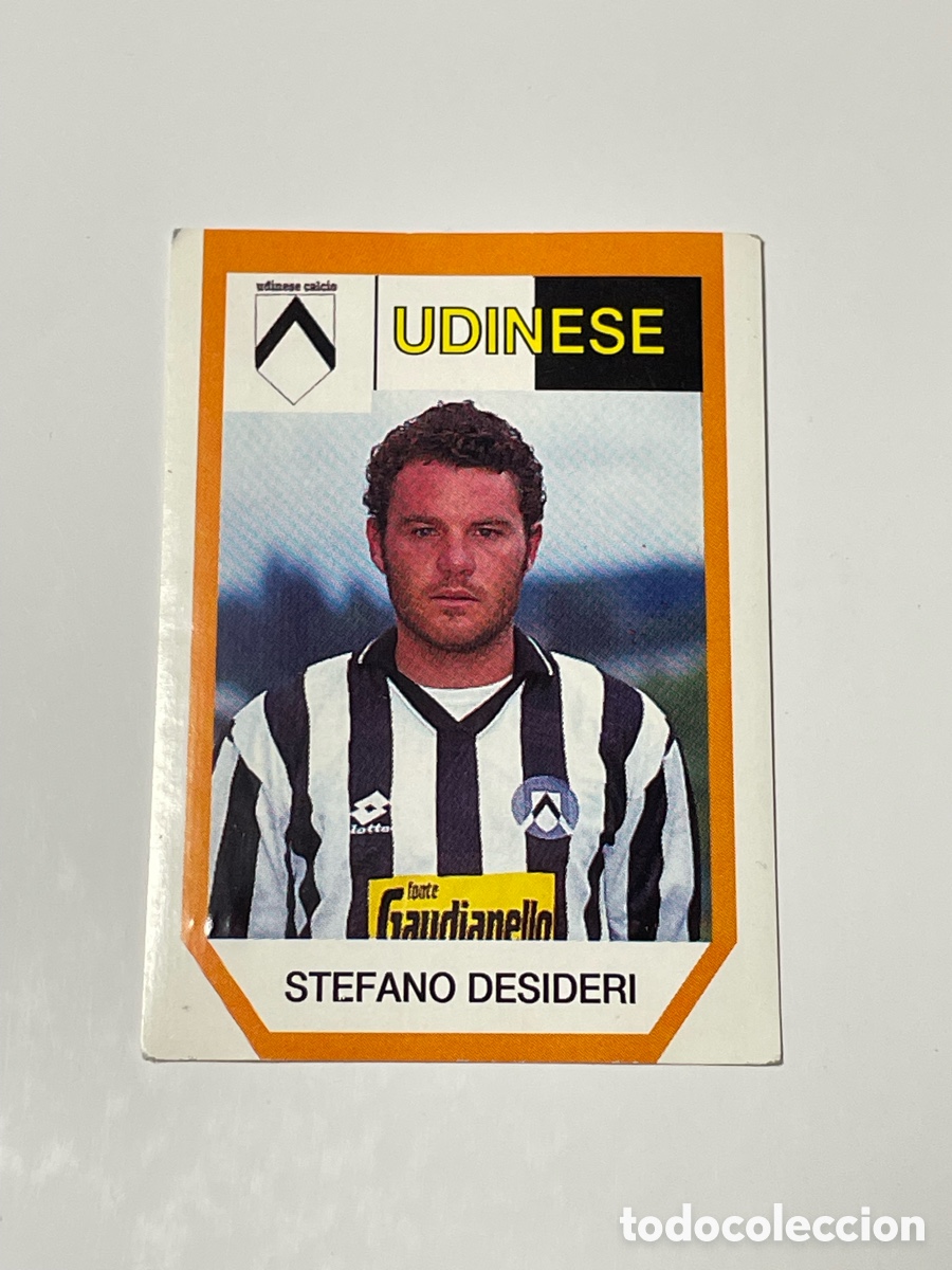 Cromos de f&uacute;tbol: Stefano Desideri Udinese CalcioFlash 93/94 #317