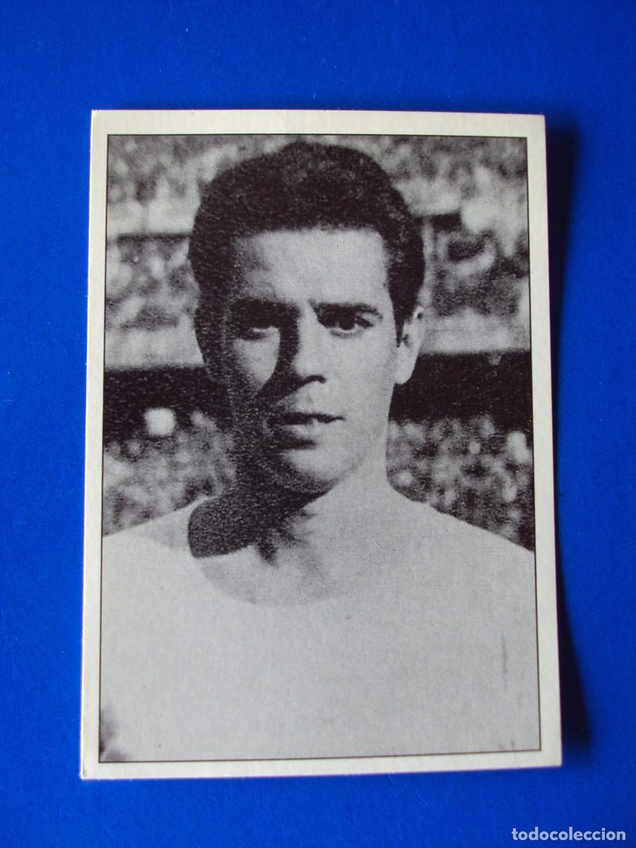 Figurine di Calcio: CROMO N&ordm; 126 JOSE MARIA ZARRAGA &Aacute;LBUM COLECCI&Oacute;N REAL MADRID 95 96 1995 1996 PANINI NUNCA PEGADO