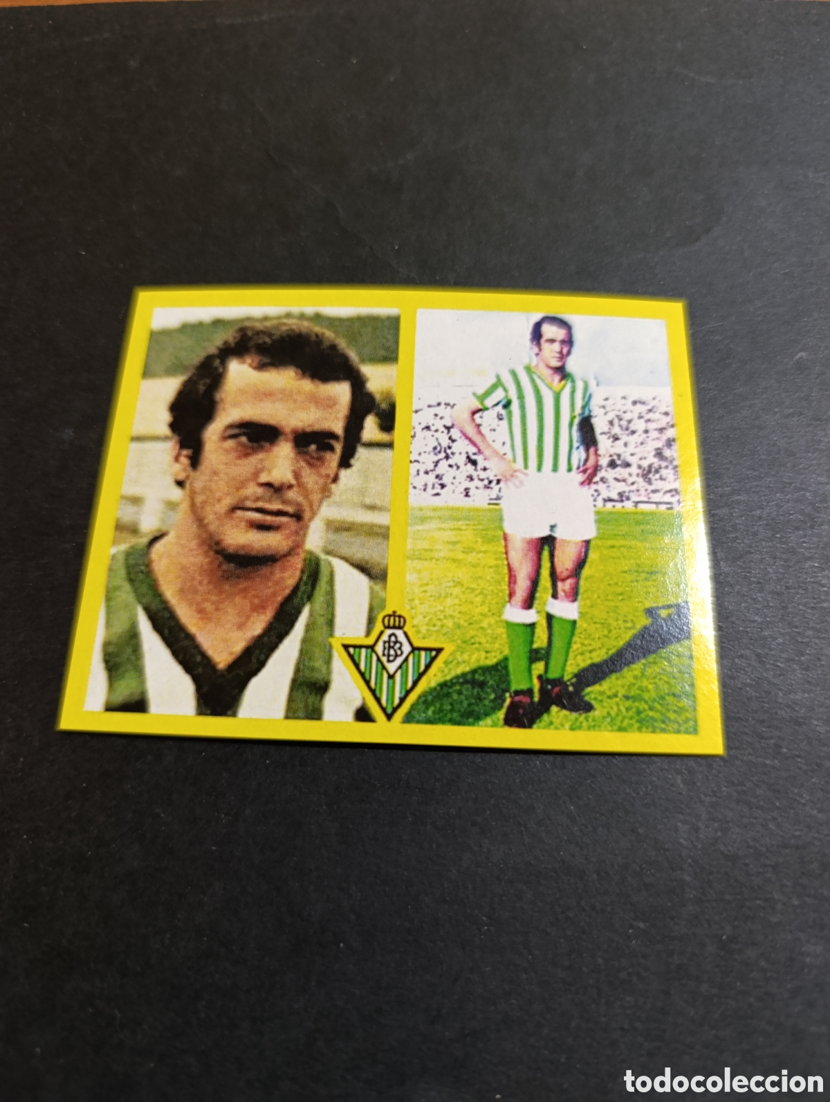 Cromos de f&uacute;tbol: Cromo Del Pozo Real Betis Liga Este 72 73, ampliaci&oacute;n de la colecci&oacute;n