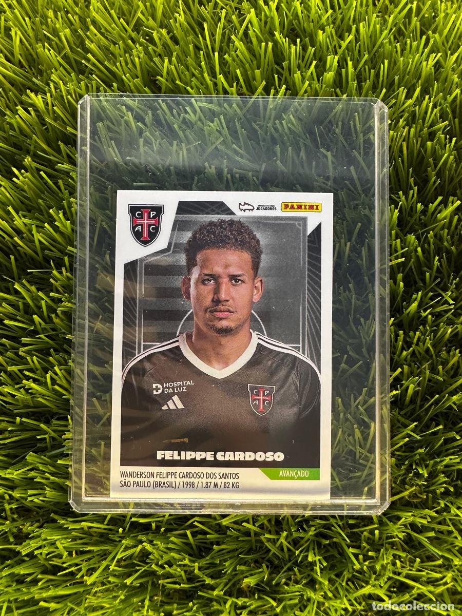 Cromos de f&uacute;tbol: N&ordm; 113 Felippe Cardoso Casa Pia Futebol Liga Portuguesa 23 24