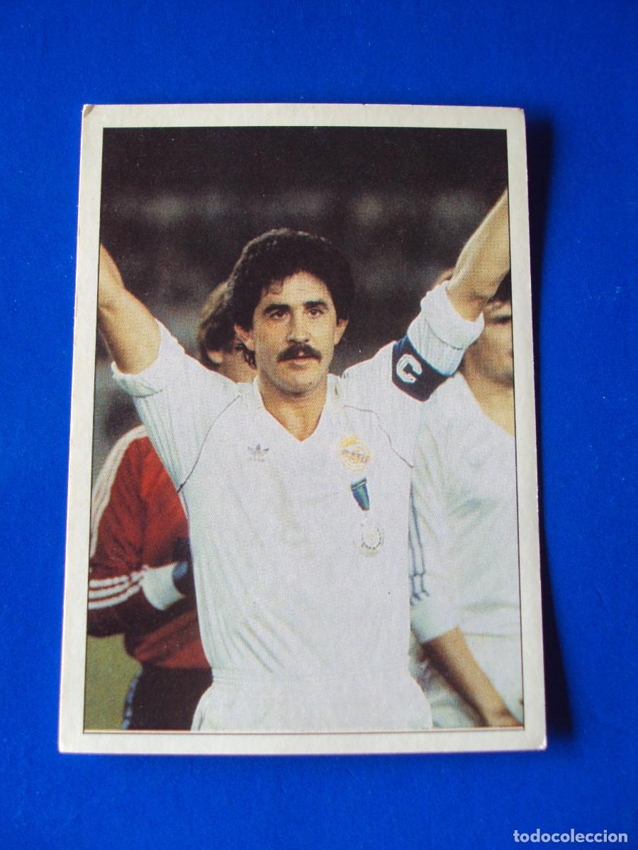 Cromos de Futebol: CROMO N&ordm; 144 GOYO BENITO &Aacute;LBUM COLECCI&Oacute;N REAL MADRID 95 96 1995 1996 PANINI NUNCA PEGADO