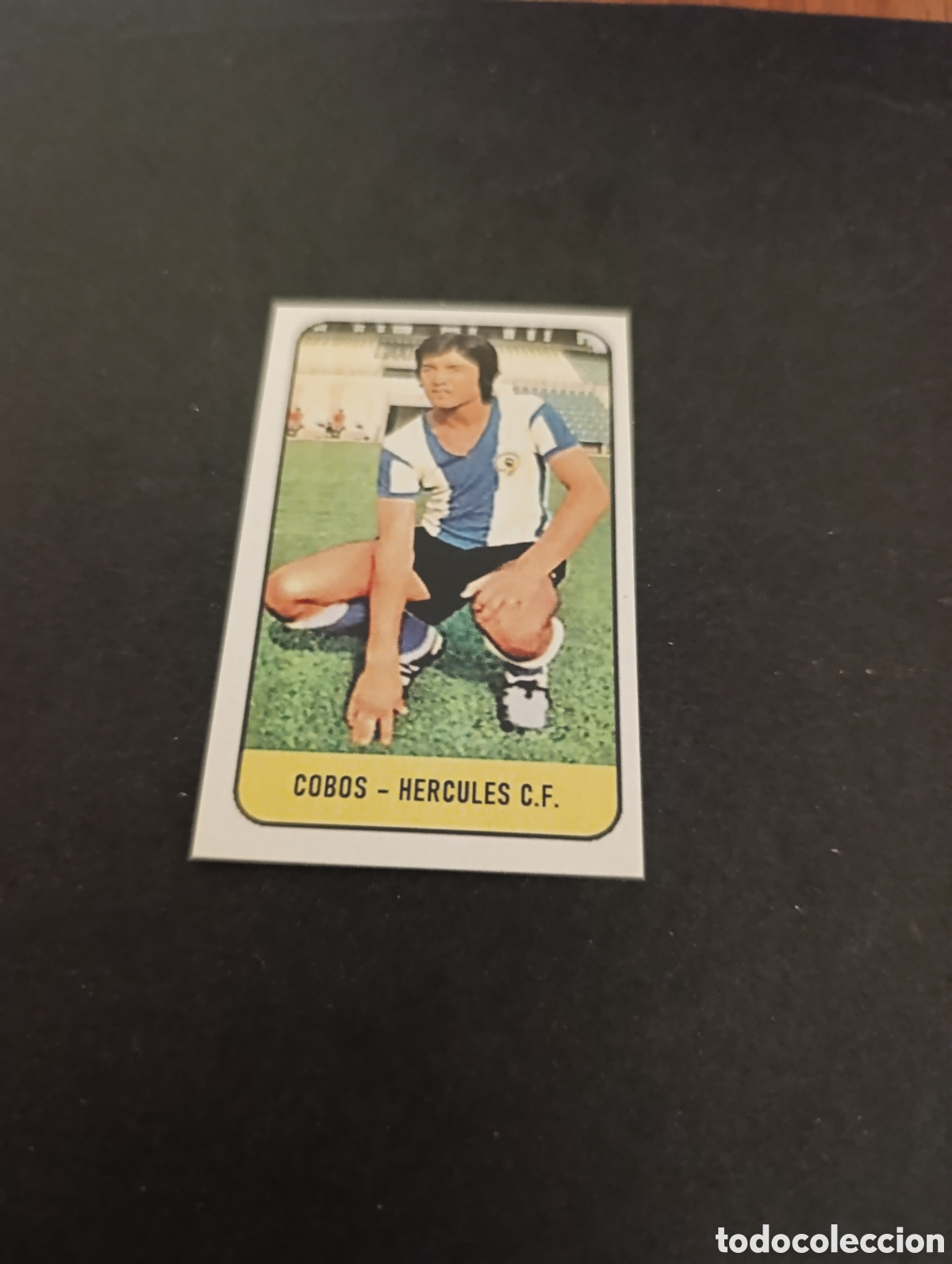 Cromos de f&uacute;tbol: Cromo Cobos H&eacute;rcules Liga Este 78 79, ampliaci&oacute;n de la colecci&oacute;n.