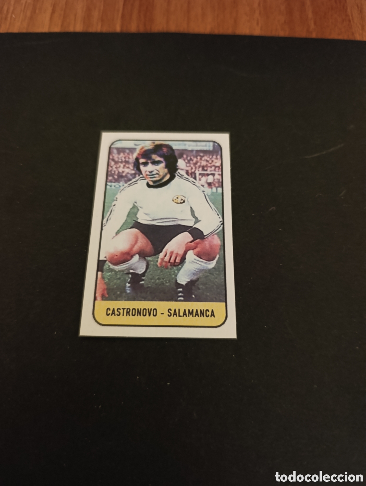 Cromos de f&uacute;tbol: Cromo Castronovo UD Salamanca Liga Este 78 79, ampliaci&oacute;n de la colecci&oacute;n.