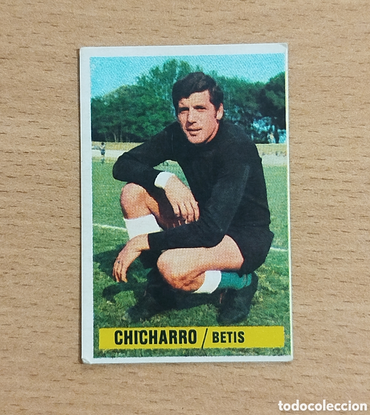 Cromos de f&uacute;tbol: SIN PEGAR COLOCA CHICHARRO BETIS 74 75 1974 1975 EDICIONES ESTE CROMO NUNCA PEGADO