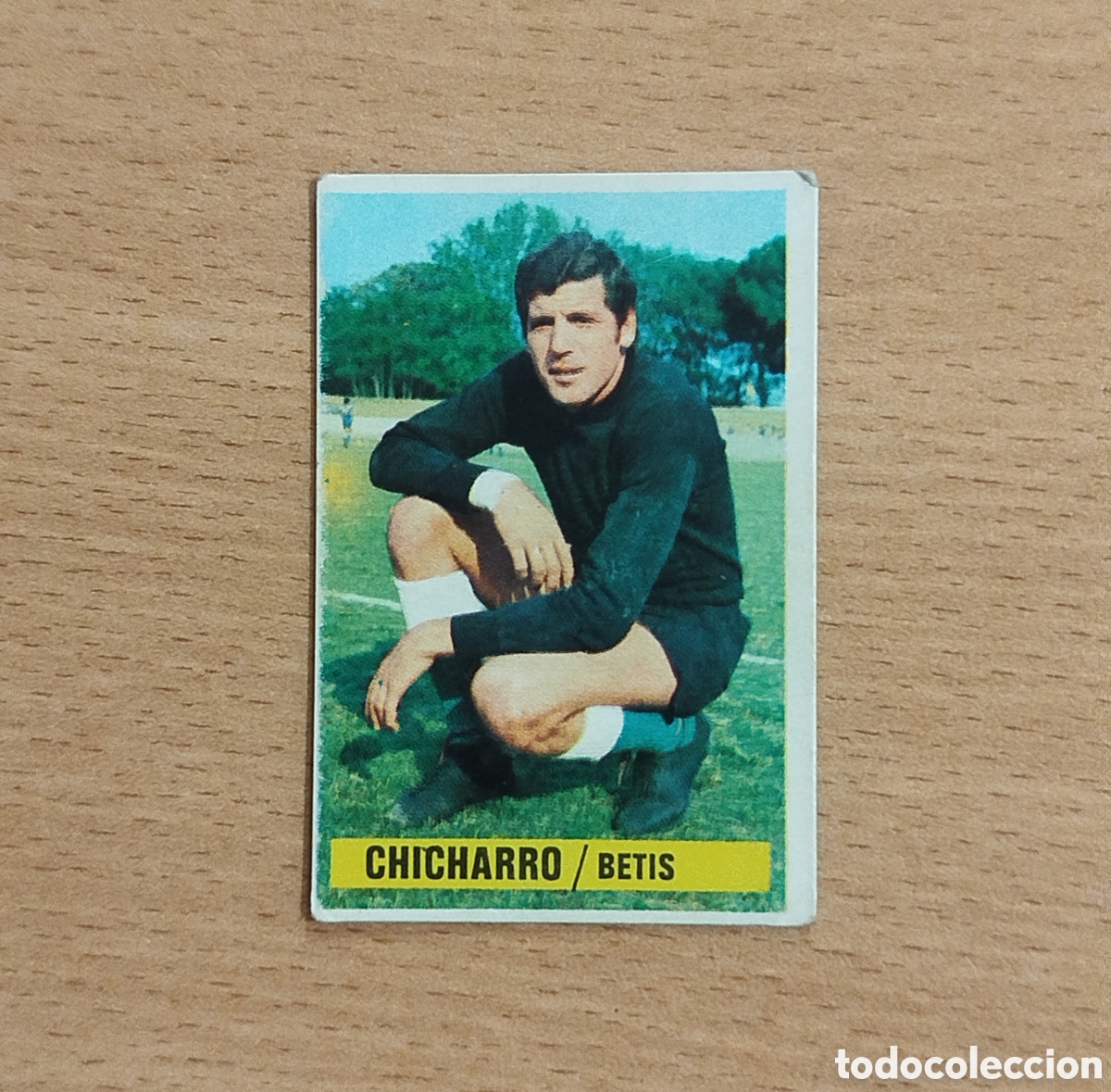 Cromos de f&uacute;tbol: SIN PEGAR COLOCA CHICHARRO BETIS 74 75 1974 1975 EDICIONES ESTE CROMO NUNCA PEGADO