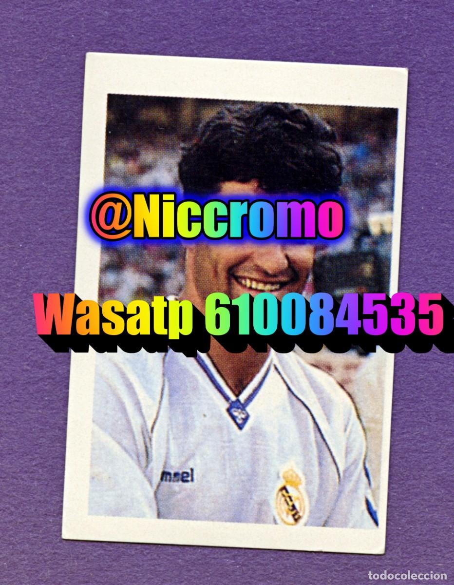 Cromos de f&uacute;tbol: michel real madrid nuevo sin pegar cromo el mundo de las estrellas a&ntilde;o 1991 niccromo