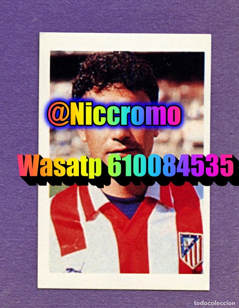 Cromos de f&uacute;tbol: manolo atletico de madrid nuevo sin pegar cromo el mundo de las estrellas a&ntilde;o 1991 niccromo