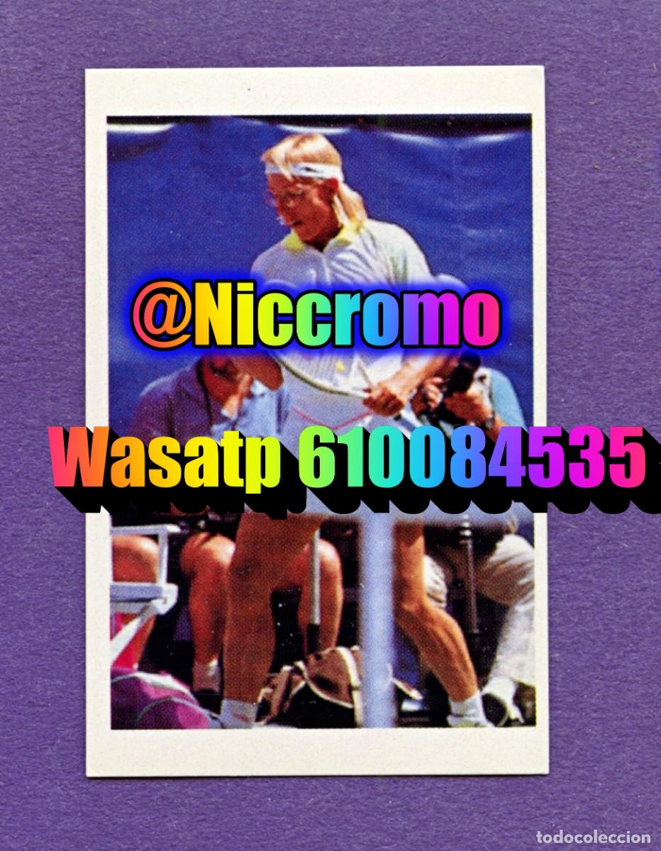 Cromos de f&uacute;tbol: navratilova tenis nuevo sin pegar cromo el mundo de las estrellas a&ntilde;o 1991 niccromo