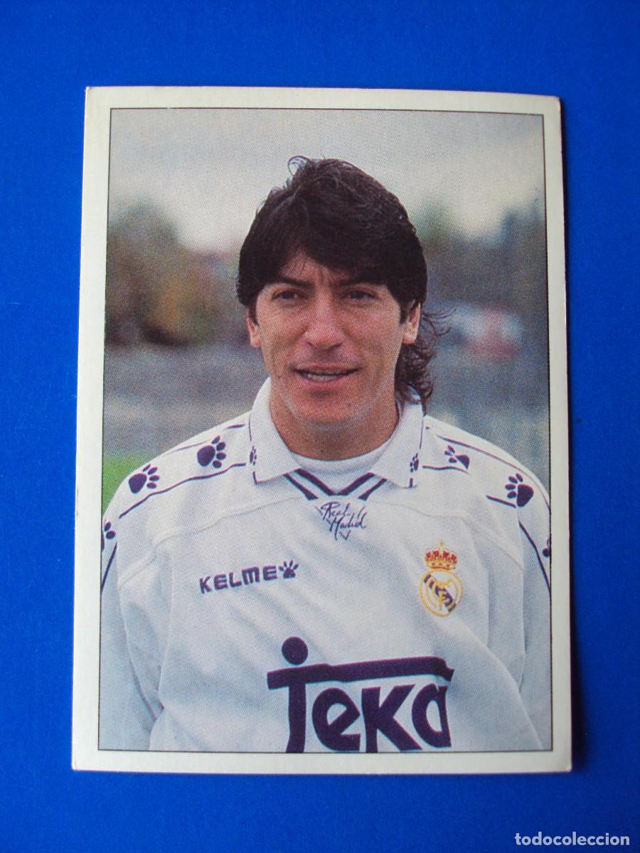 Cromos de f&uacute;tbol: CROMO N&ordm; 238 IVAN ZAMORANO &Aacute;LBUM COLECCI&Oacute;N REAL MADRID 95 96 1995 1996 PANINI NUNCA PEGADO