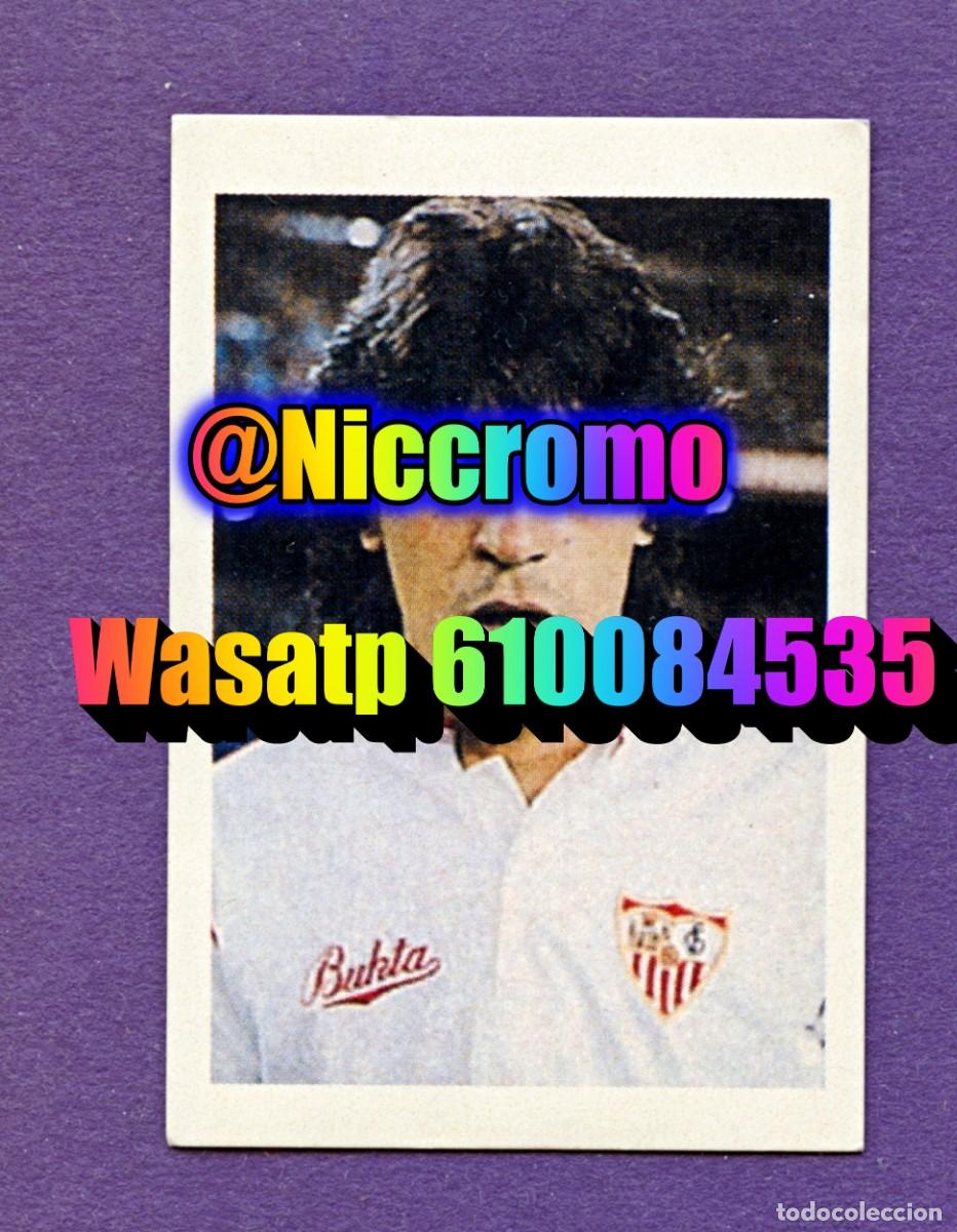 Figurine di Calcio: zamorano sevilla nuevo sin pegar cromo el mundo de las estrellas a&ntilde;o 1991 niccromo