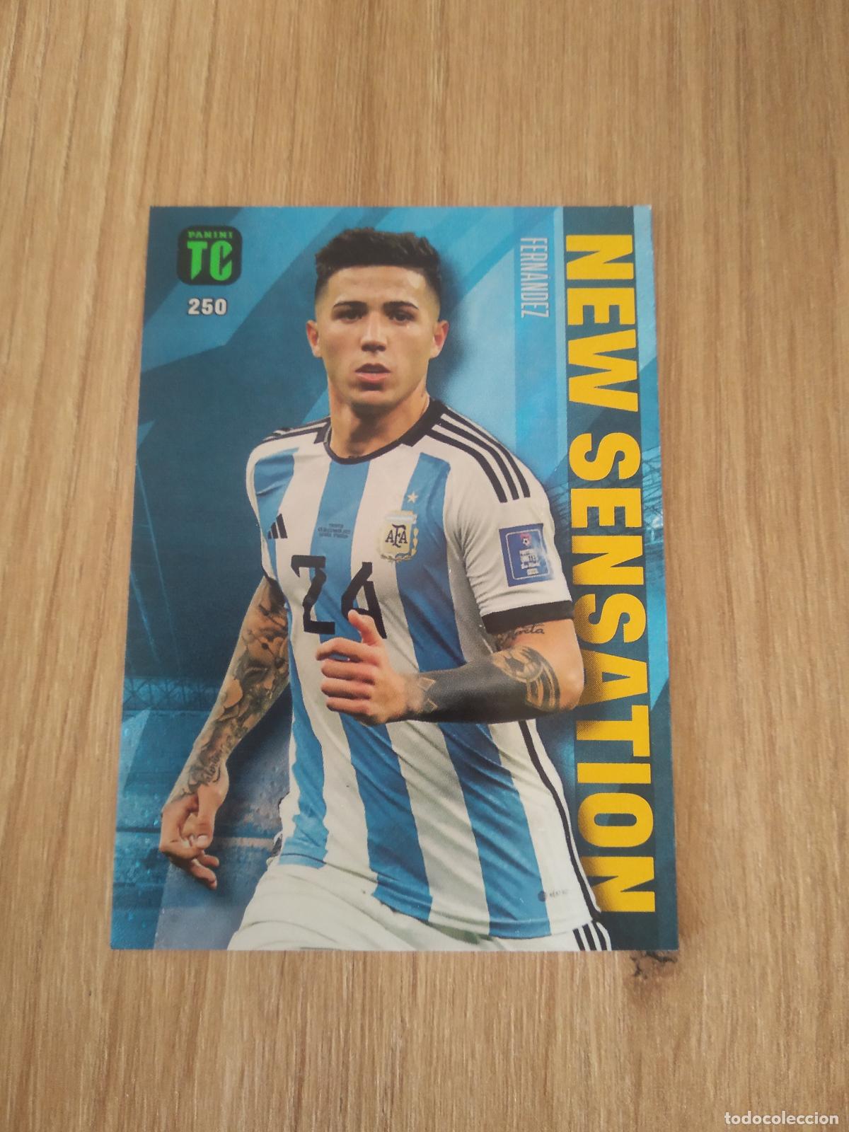 Figurine di Calcio: 250 ENZO FERNANDEZ ARGENTINA CROMO TARJETA FUTBOL PANINI TOP CLASS 2023