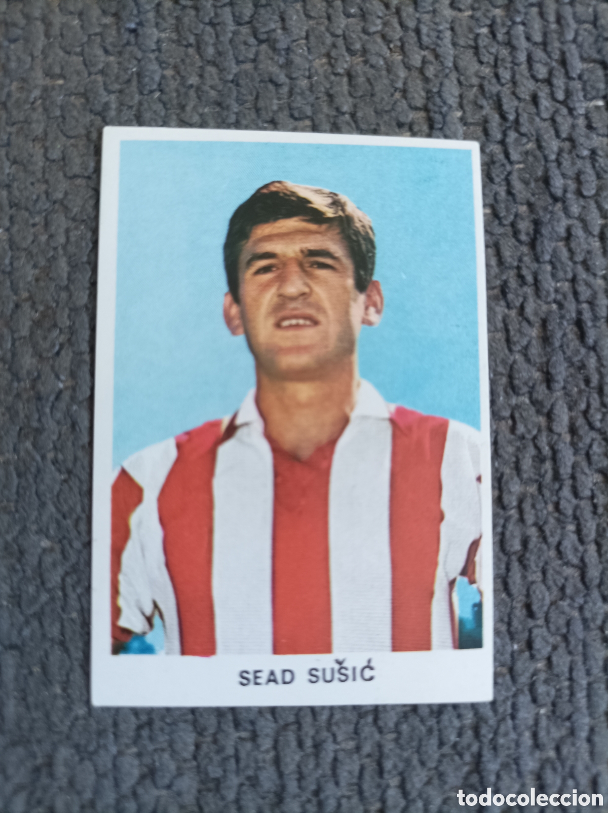 Cromos de Futebol: Cromo futbol Sead Sicic Estrella Roja