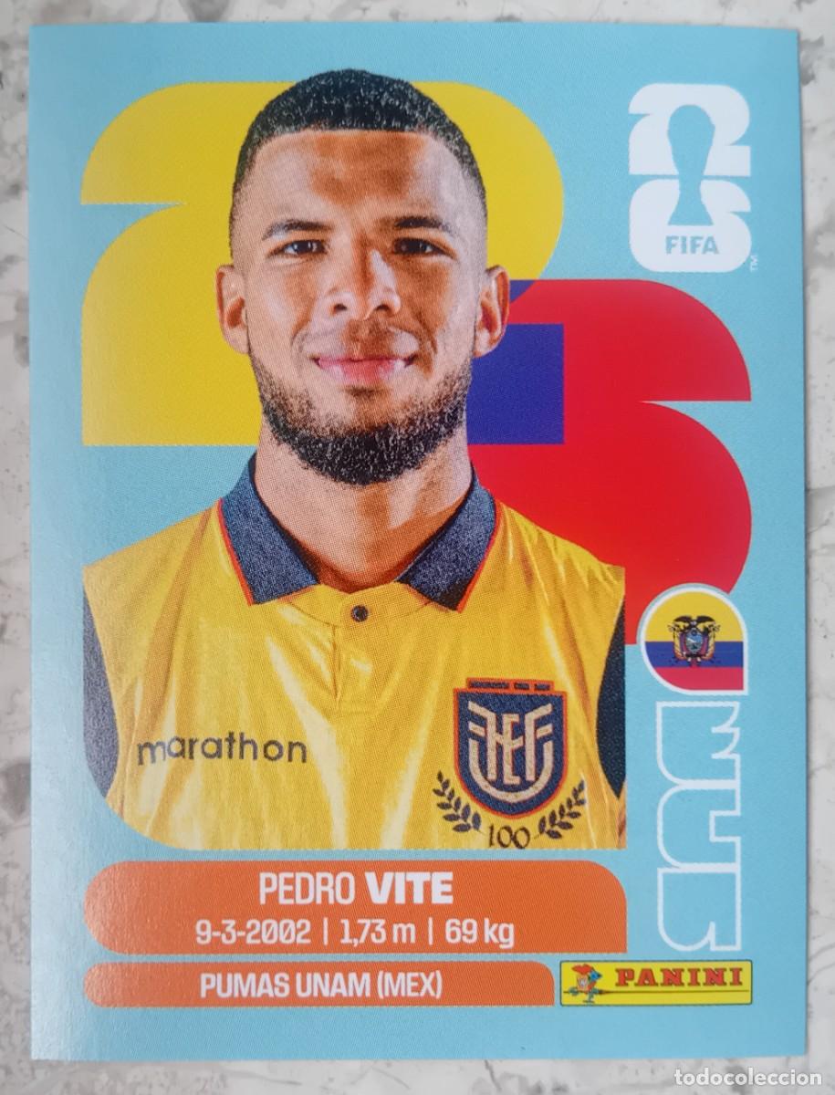 Cromos de f&uacute;tbol: Figurina Panini 2026 Cromo World Cup Usa Mundial 2026 Pedro Vite Ecuador n ECU 12