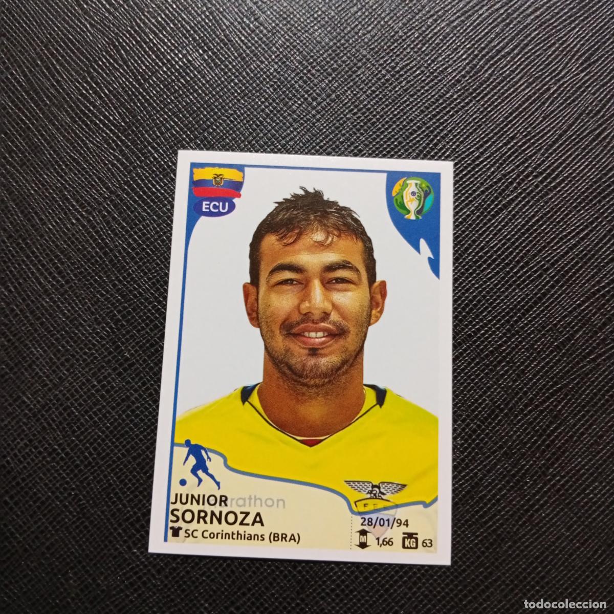 Cromos de f&uacute;tbol: 270 SORNOZA ECUADOR PANINI COPA AMERICA BRASIL 2019 CROMO FUTBOL 19 - SIN PEGAR