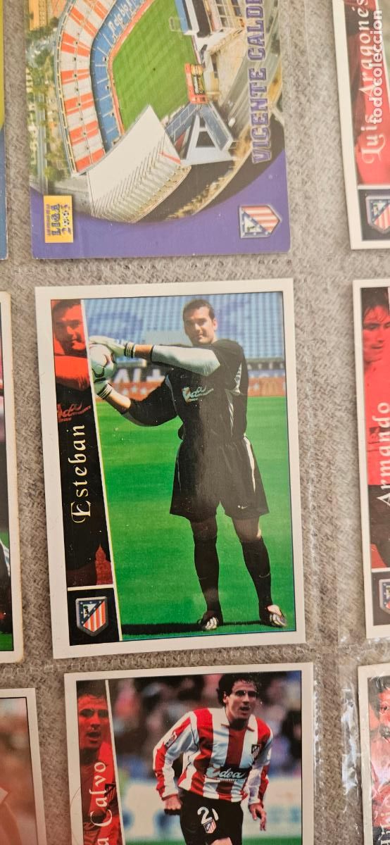 Cromos de f&uacute;tbol: Esteban - Atl&eacute;tico de Madrid - 464 - Mundicromo 02 03 - 2002 2003 - Trading Card