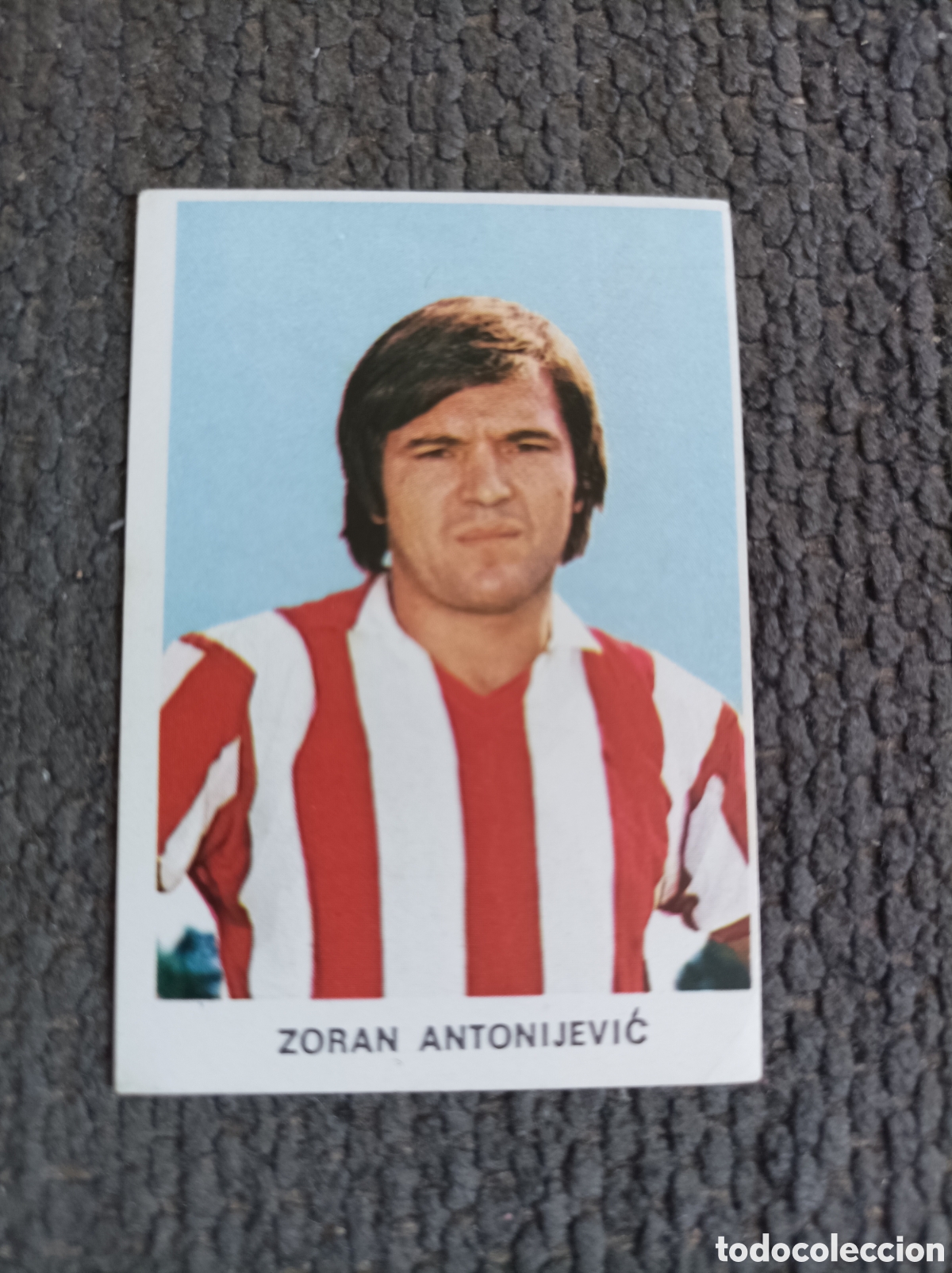 Fu&szlig;ball-Sticker: Cromo futbol Zoran Antonijevic n 403 Estrella Roja