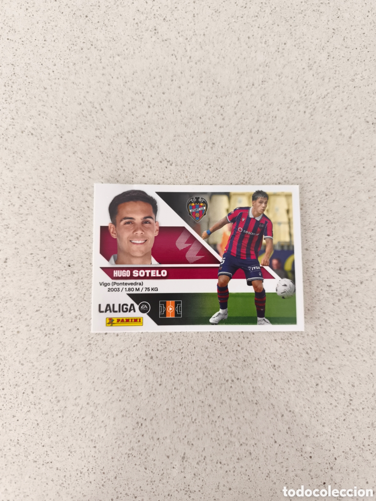 Football Stickers: CROMO N&Uacute;MERO 13 &Uacute;LTIMO FICHAJE SOTELO LEVANTE. LIGA ESTE 26/27. PANINI.