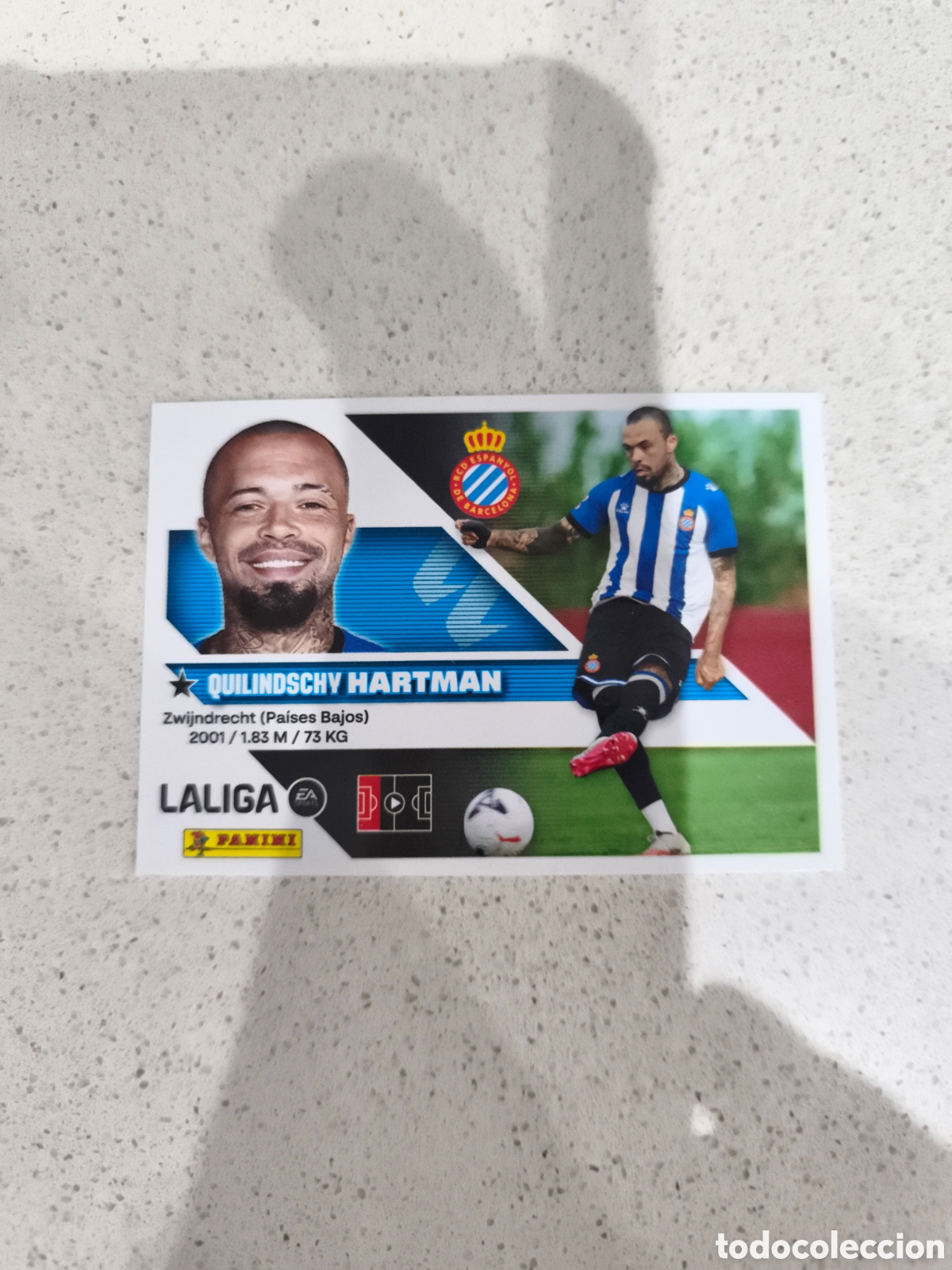 Cromos de f&uacute;tbol: CROMO N&Uacute;MERO 10 HARTMAN ESPANYOL. LIGA ESTE 26/27. PANINI. SEGUNDA EDICI&Oacute;N.