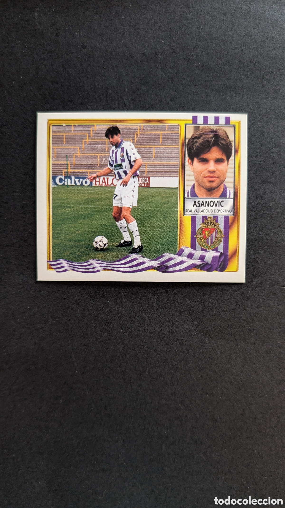 Cromos de Futebol: ASANOVIC VALLADOLID COLOCA LIGA ESTE 1995/96 95 96 NUNCA PEGADO SIN PEGAR