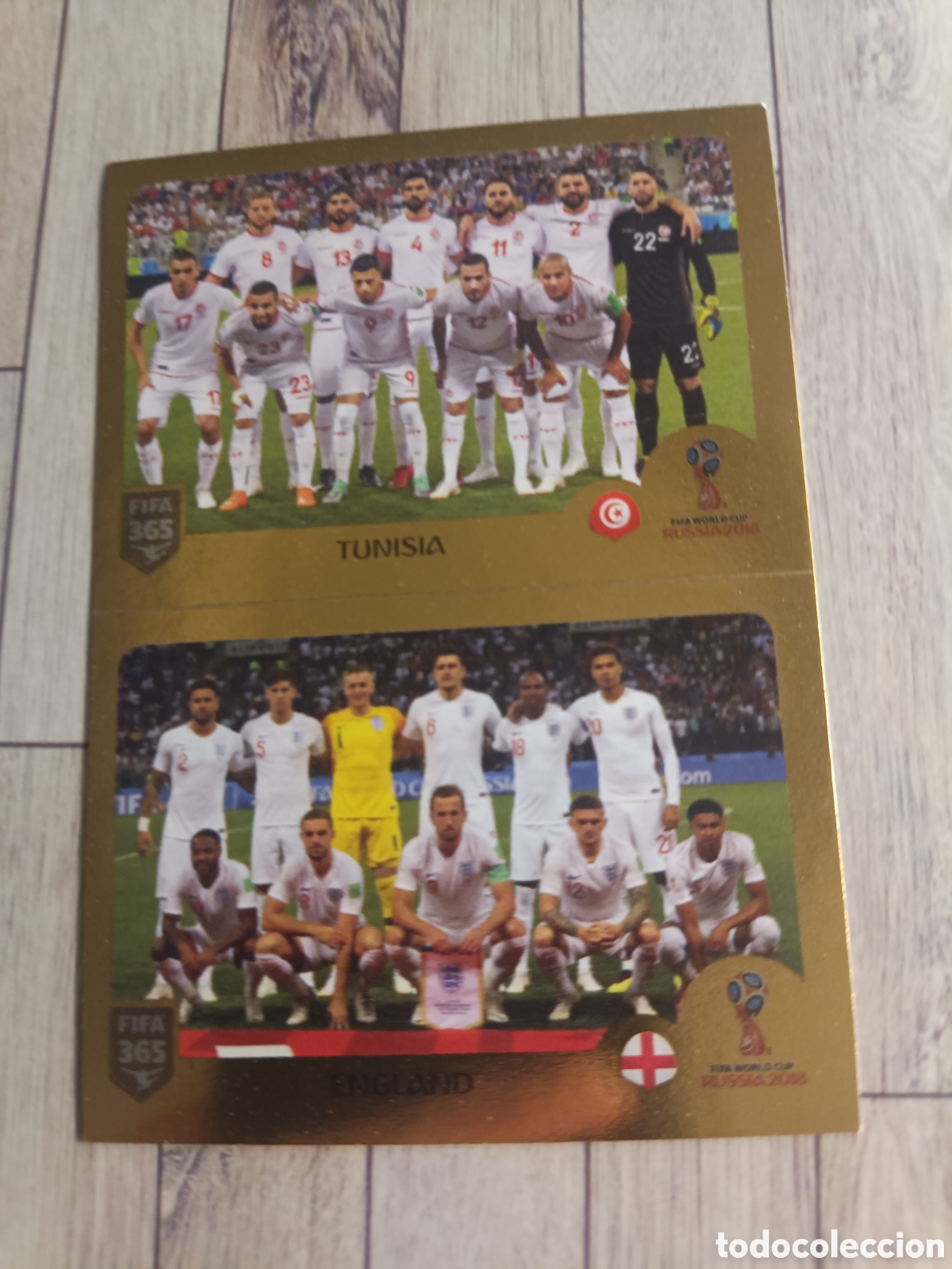 Cromos de f&uacute;tbol: 391 SELECCIONES INGLATERRA / TUNEZ STICKER PANINI FIFA 365 2018 2019 18 19 BLUE EDITION