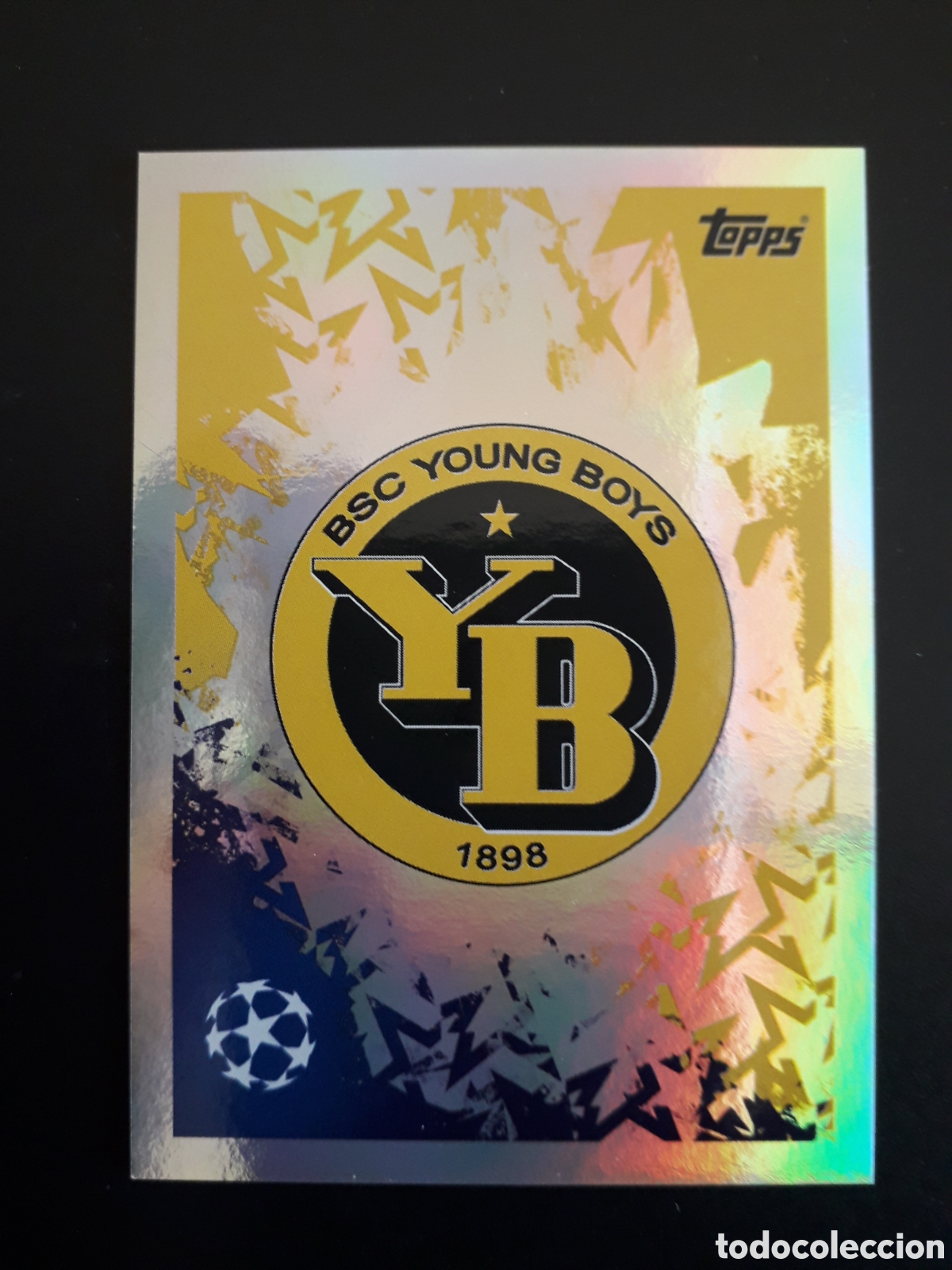 Cromos de f&uacute;tbol: ESCUDO YOUNG BOYS N&deg; 431 UEFA CHAMPIONS LEAGUE SEASON TOPPS 24 25 2024 2025 PEDIDO M&Iacute;NIMO 3&euro;