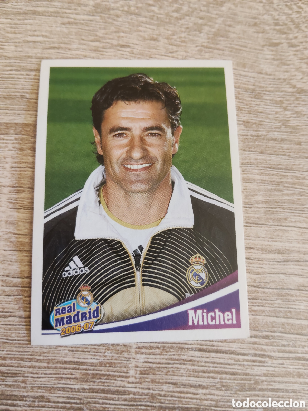 Cromos de f&uacute;tbol: Panini Real Madrid liga 2006 2007 06 07 157 Michel