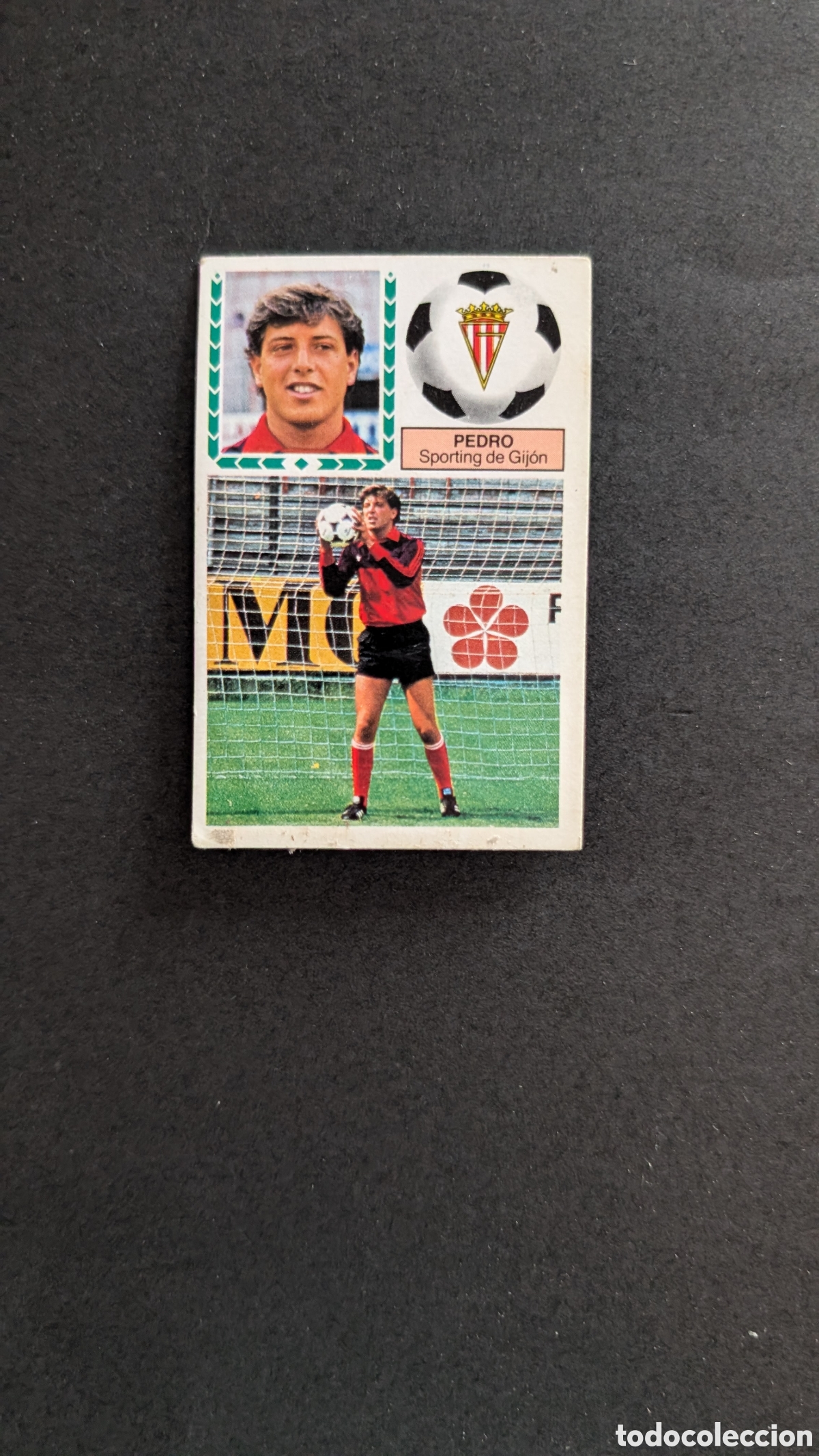 Cromos de Futebol: L1 PEDRO SPORTING GIJON FICHAJE 36 LIGA ESTE 1983/84 83 84 DESPEGADO