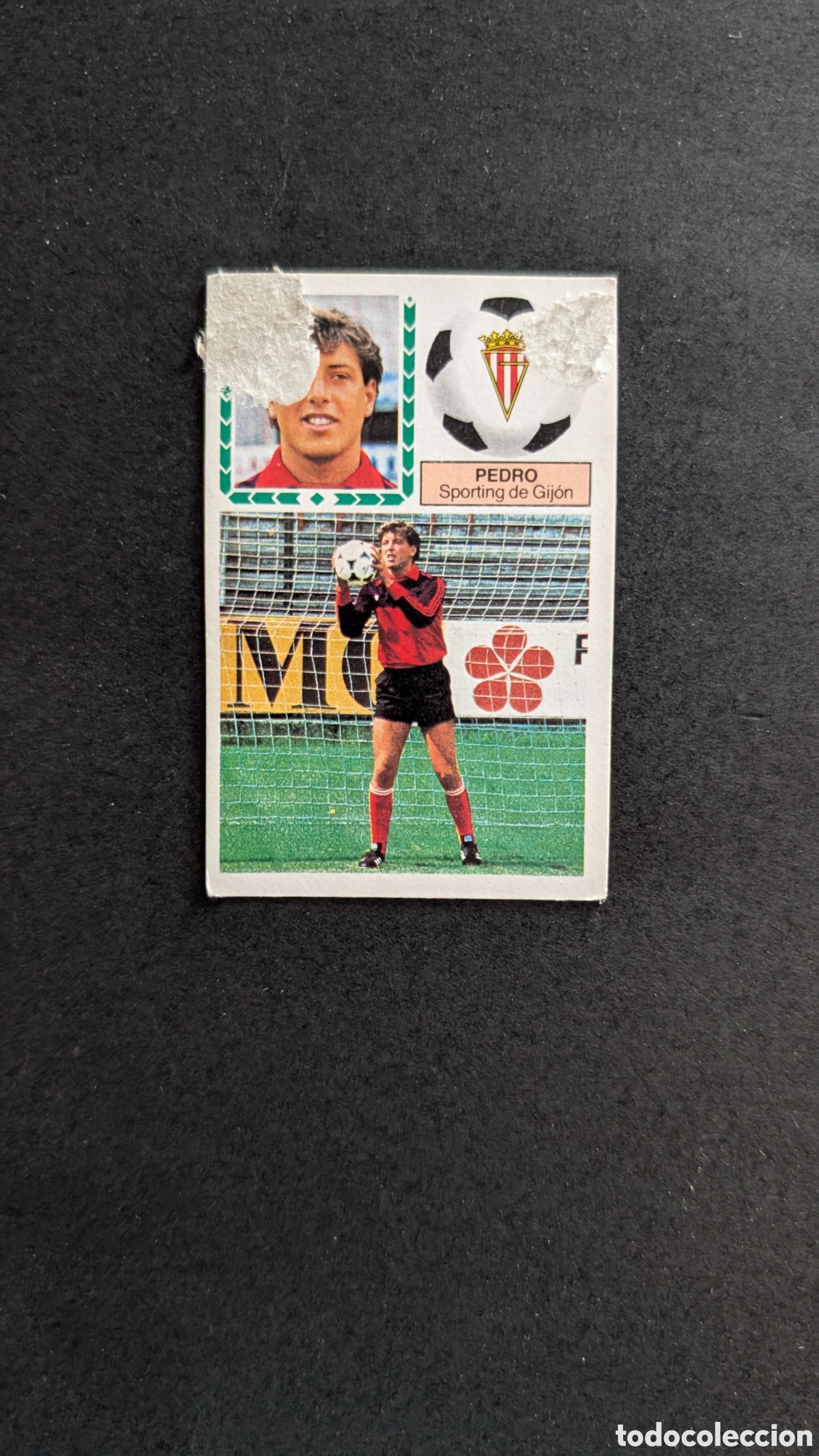 Cromos de Futebol: L1 PEDRO SPORTING GIJON FICHAJE 36 LIGA ESTE 1983/84 83 84 DESPEGADO