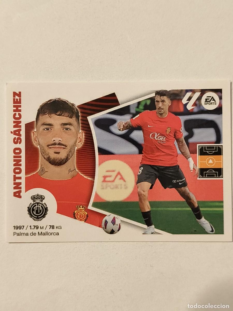 Cromos de f&uacute;tbol: #14 ANTONIO SANCHEZ (R.C.D. MALLORCA) LIGA 24/25 ESTE