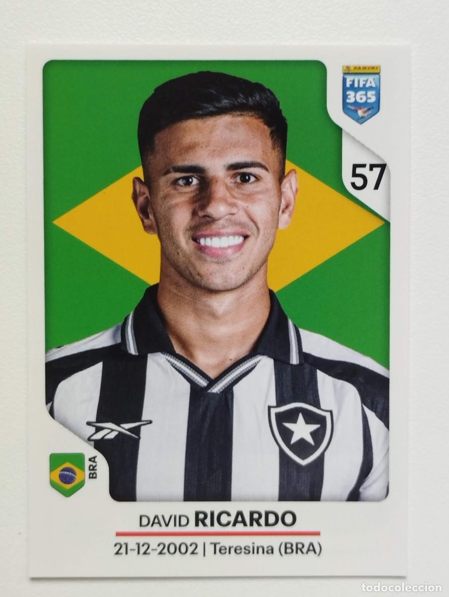 Cromos de f&uacute;tbol: CROMO STICKER PANINI FIFA 365 2026 DAVID RICARDO 49 BOTAFOGO