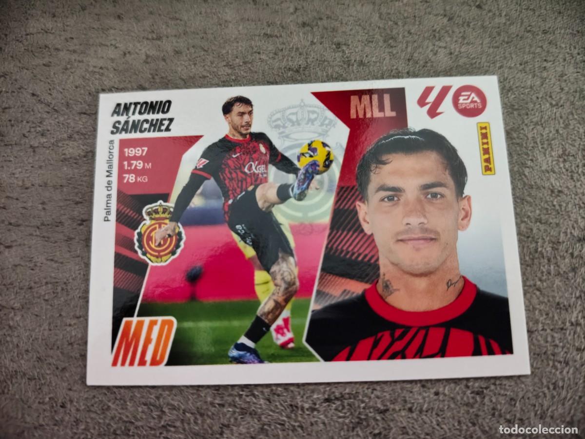 Cromos de f&uacute;tbol: Cromo 14 ANTONIO S&Aacute;NCHEZ RCD MALLORCA. Colecci&oacute;n LALIGA F&uacute;tbol 2025-2026 PANINI Nuevo