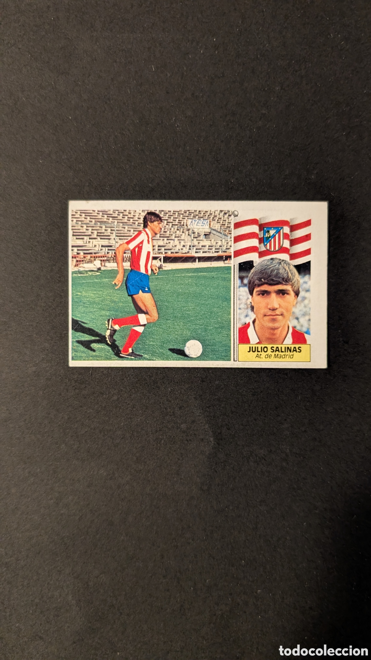 Cartes &agrave; collectionner de Football: L1 JULIO SALINAS ATLETICO MADRID VERSION FICHAJE 25 LIGA ESTE 1986/87 86 87 DESPEGADO