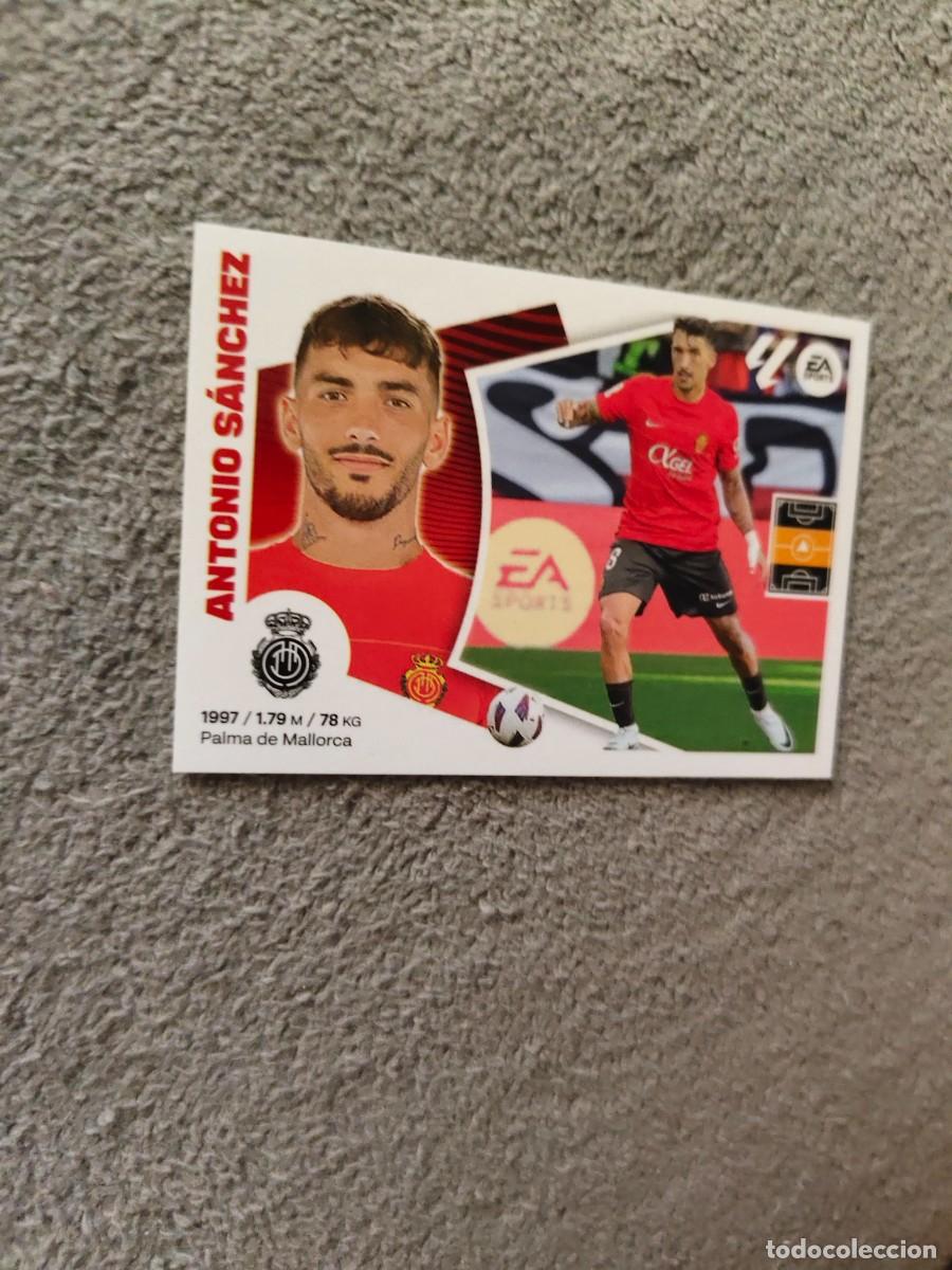 Cromos de f&uacute;tbol: ESTE LA LIGA 24 25 ANTONIO S&Aacute;NCHEZ (14) RCD MALLORCA LALIGA PANINI 2024 2025