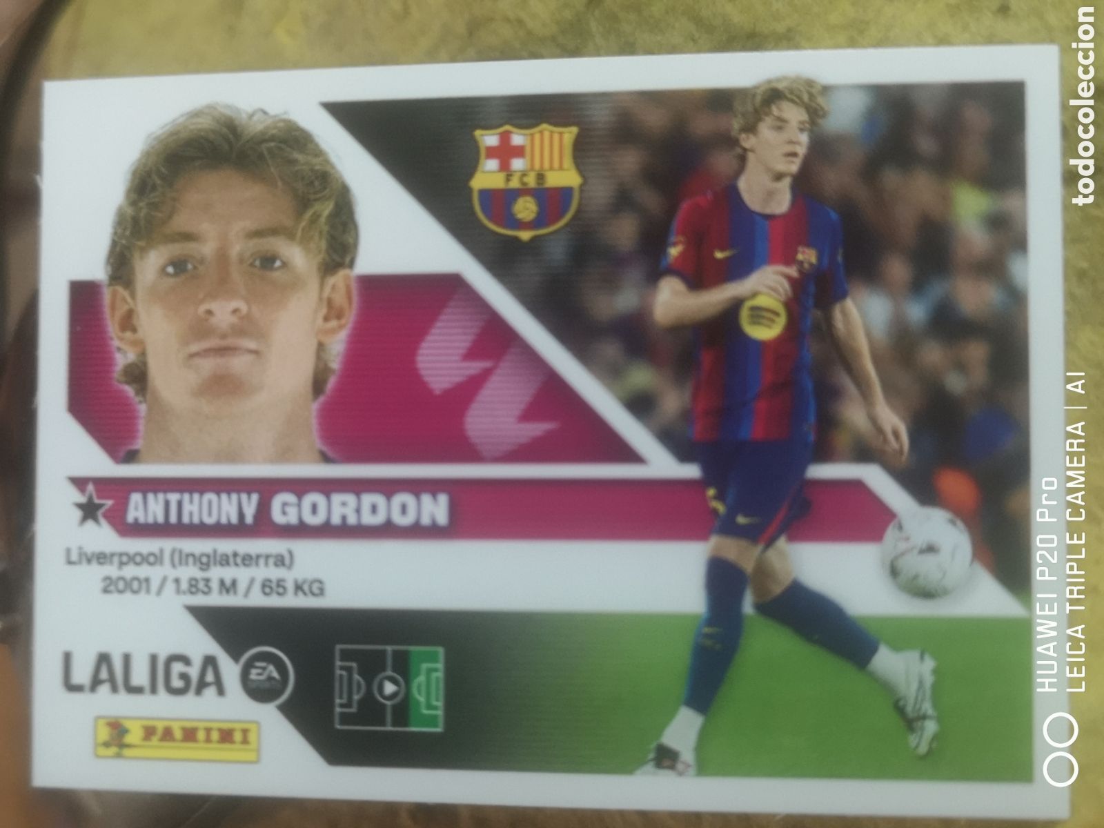 Cromos de f&uacute;tbol: LIGA ESTE 2026 2027 2026 27 ULTIMOS FICHAJES 24 GORDON BARCELONA
