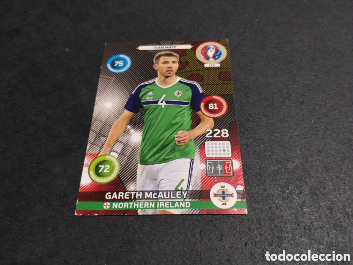 Cromos de f&uacute;tbol: Cromo futbol Garete McAul, Irlanda del Norte
