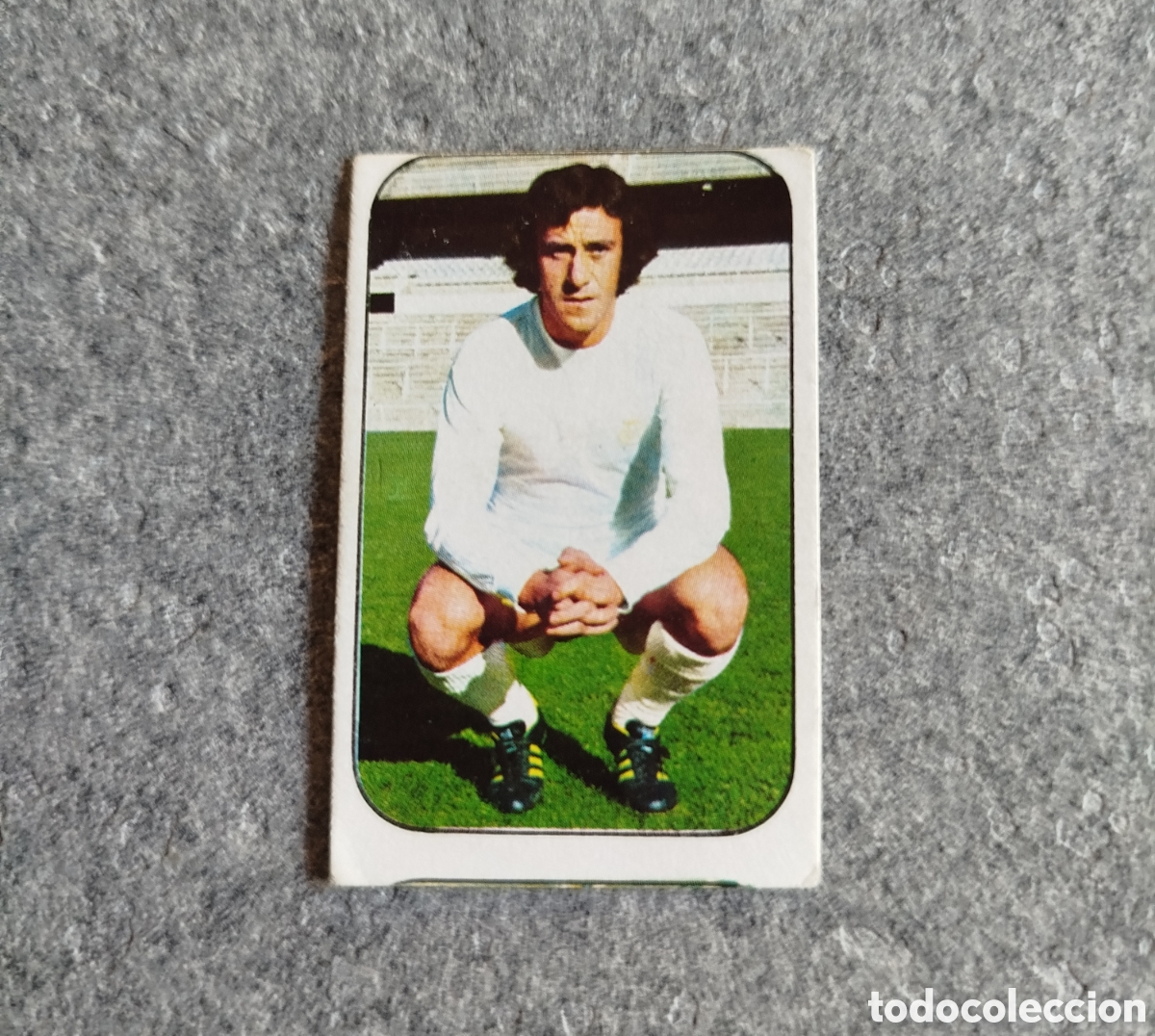 Cromos de f&uacute;tbol: SIN PEGAR DEL BOSQUE REAL MADRID 76 77 1976 1977 EDICIONES ESTE CROMO NUEVO NUNCA PEGADO