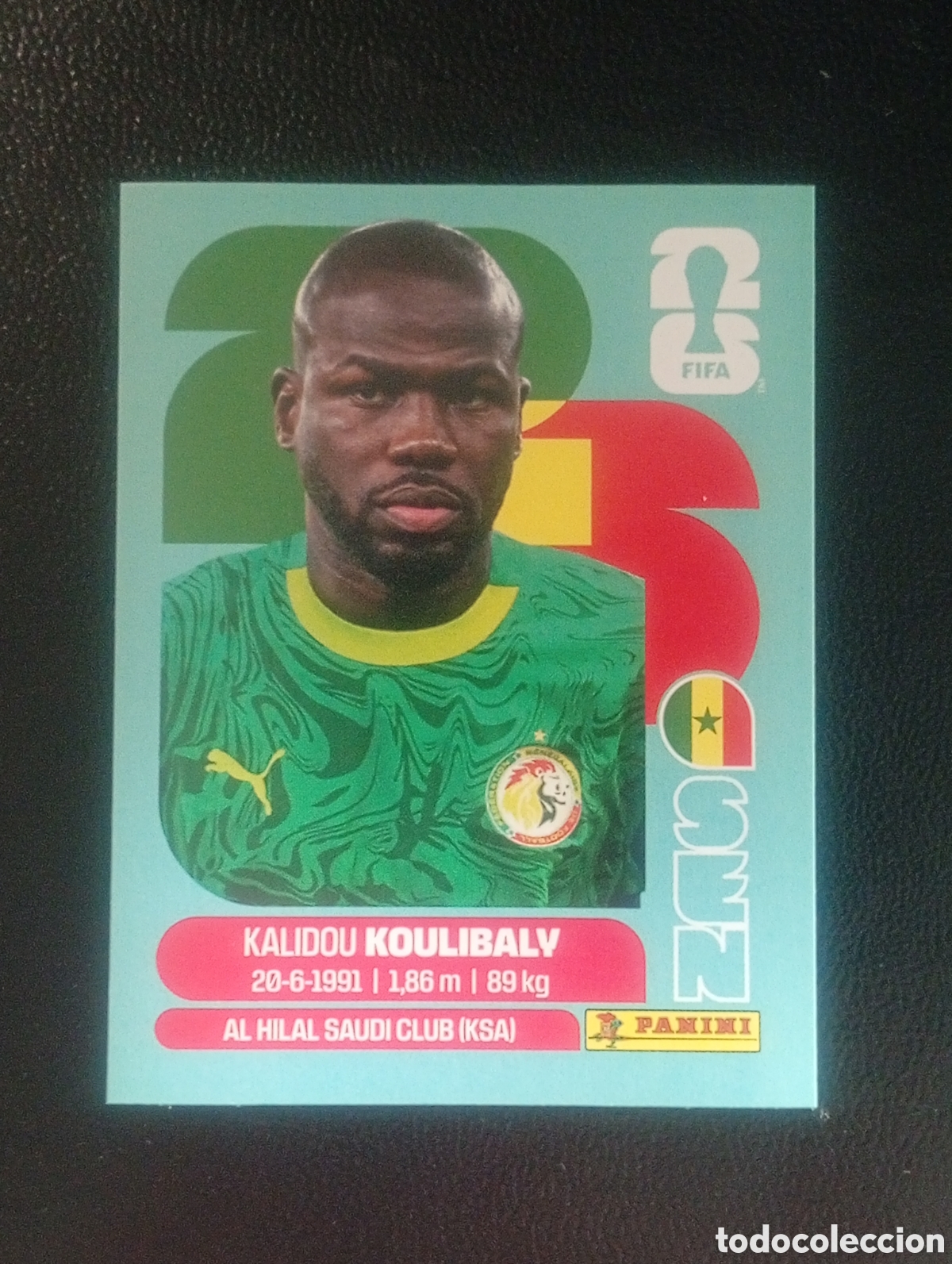 Cromos de f&uacute;tbol: SEN 8 SENEGAL MUNDIAL F&Uacute;TBOL 2026 FIFA WORLD CUP PANINI CROMO STICKER SEN8