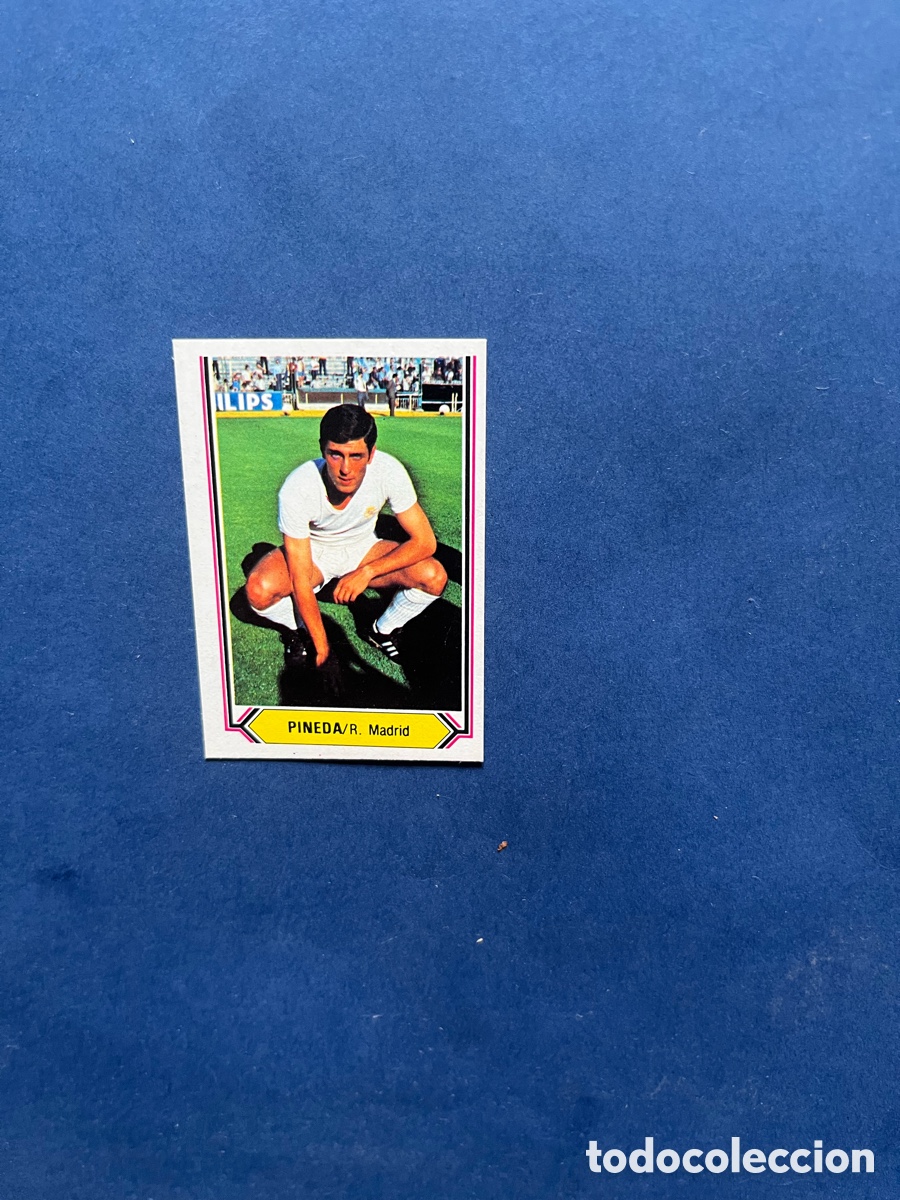 Cromos de f&uacute;tbol: Pineda Real Madrid ( Fichaje 27 ) Este 1980-81 sin pegar .