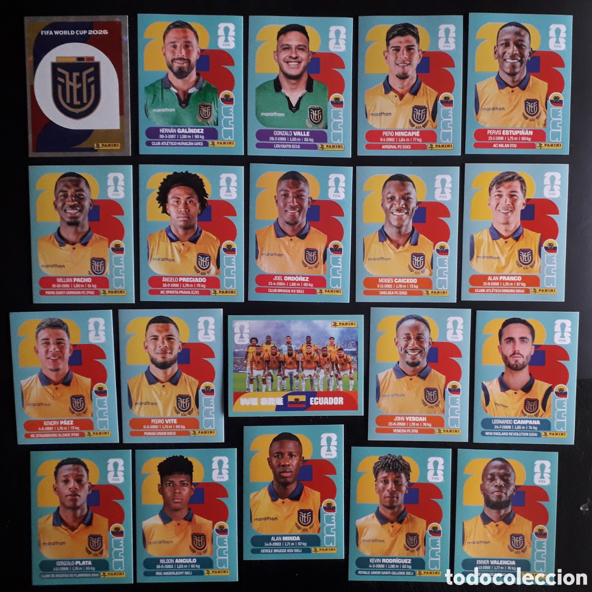 Cromos de f&uacute;tbol: 20 CROMOS ECUADOR EQUIPO COMPLETO MUNDIAL F&Uacute;TBOL 2026 FIFA WORLD CUP PANINI SIN PEGAR