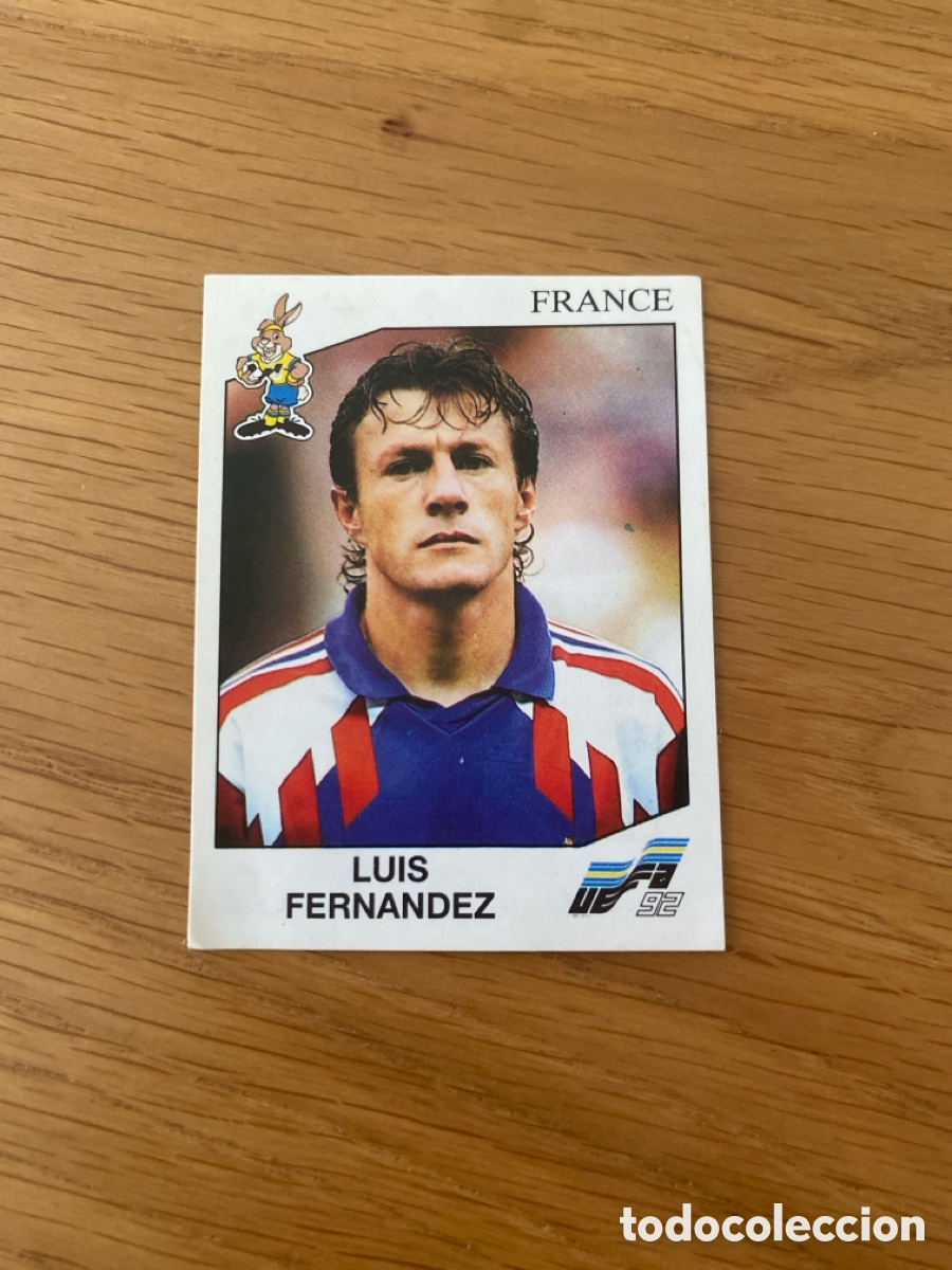 Football Stickers: Cromo panini Euro 92 Suecia n&uacute;mero 55 Fernandez - Eurocup Sweden 1992 stickers &aacute;lbum