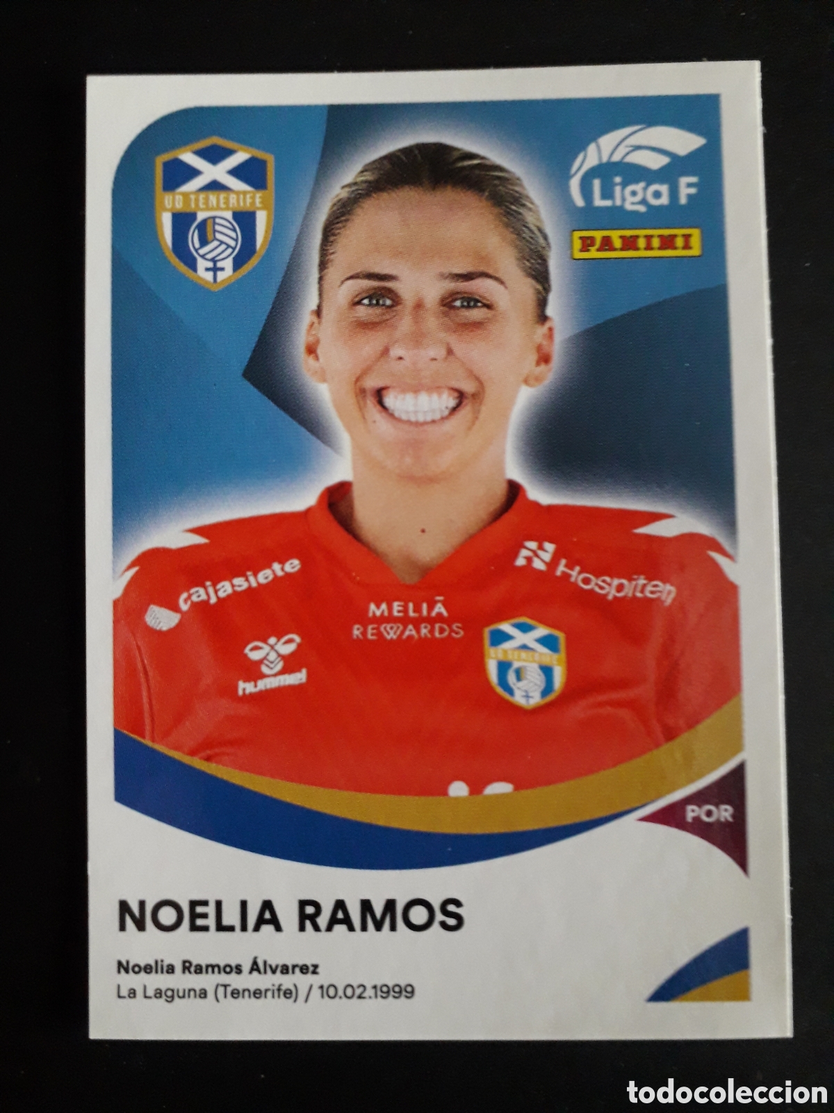 Cromos de f&uacute;tbol: NOELIA RAMOS UD TENERIFE N&deg; 84 LIGA F FEMENINA 2024 2025 24 25 PANINI PEDIDO M&Iacute;NIMO 3&euro;