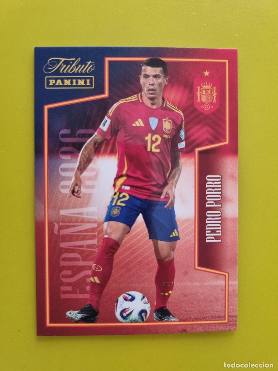 Cromos de f&uacute;tbol: CROMO FUTBOL PANINI TRIBUTO SELECCION ESPA&Ntilde;OLA 10 26 2010 2026 PEDRO PORRO 41 AR926
