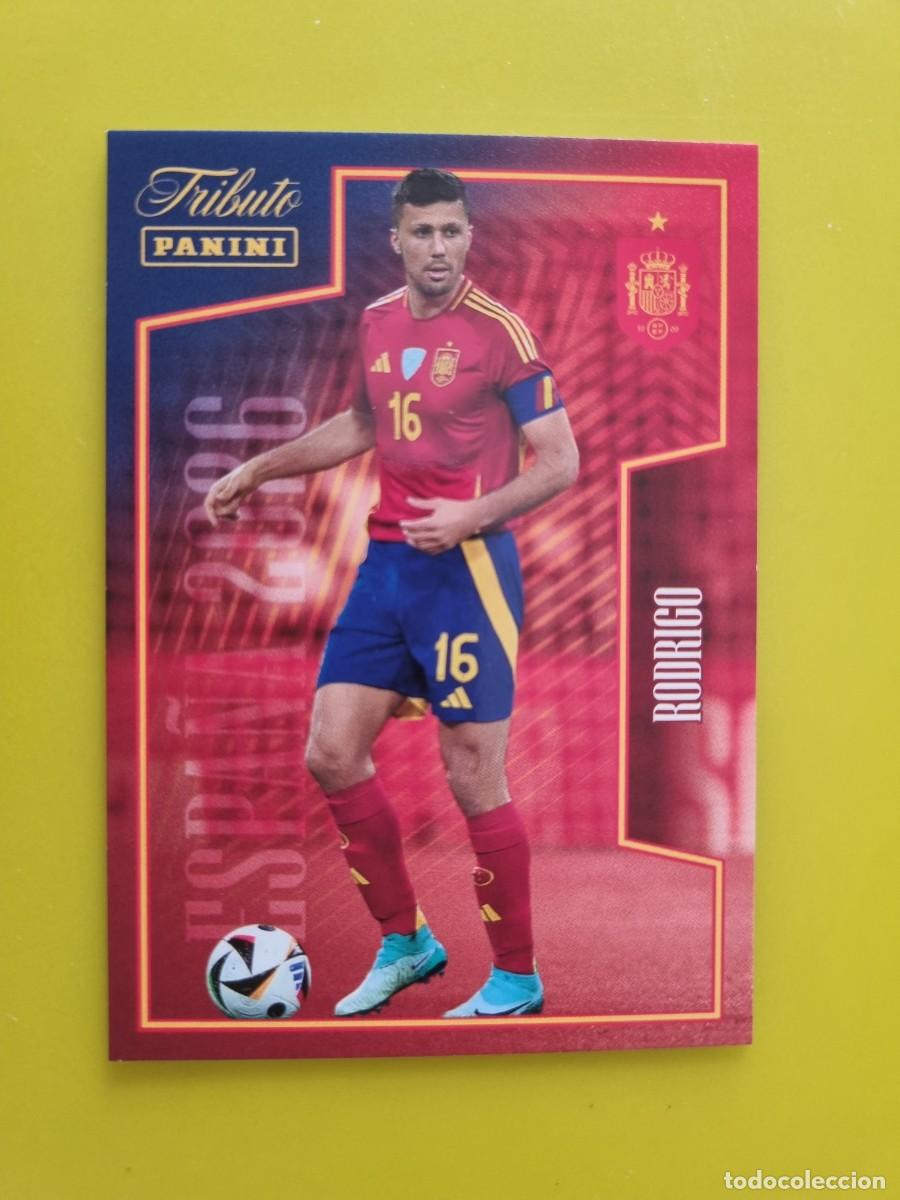 Cromos de f&uacute;tbol: CROMO FUTBOL PANINI TRIBUTO SELECCION ESPA&Ntilde;OLA 10 26 2010 2026 RODRIGO 50 AR926