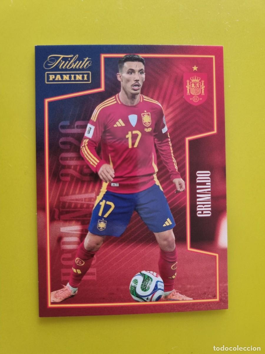 Cromos de Futebol: CROMO FUTBOL PANINI TRIBUTO SELECCION ESPA&Ntilde;OLA 10 26 2010 2026 GRIMALDO 49 AR926