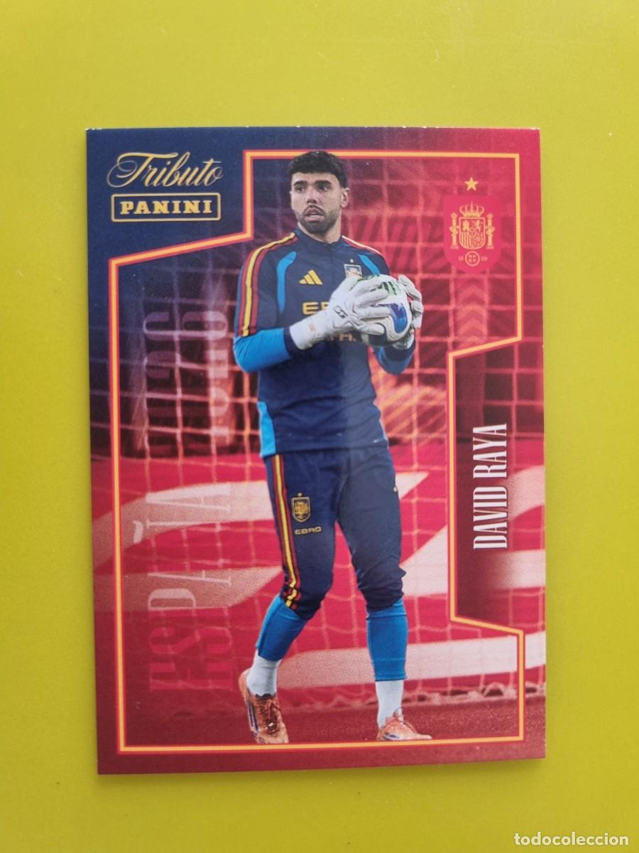 Cromos de Futebol: CROMO FUTBOL PANINI TRIBUTO SELECCION ESPA&Ntilde;OLA 10 26 2010 2026 DAVID RAYA 38 AR926