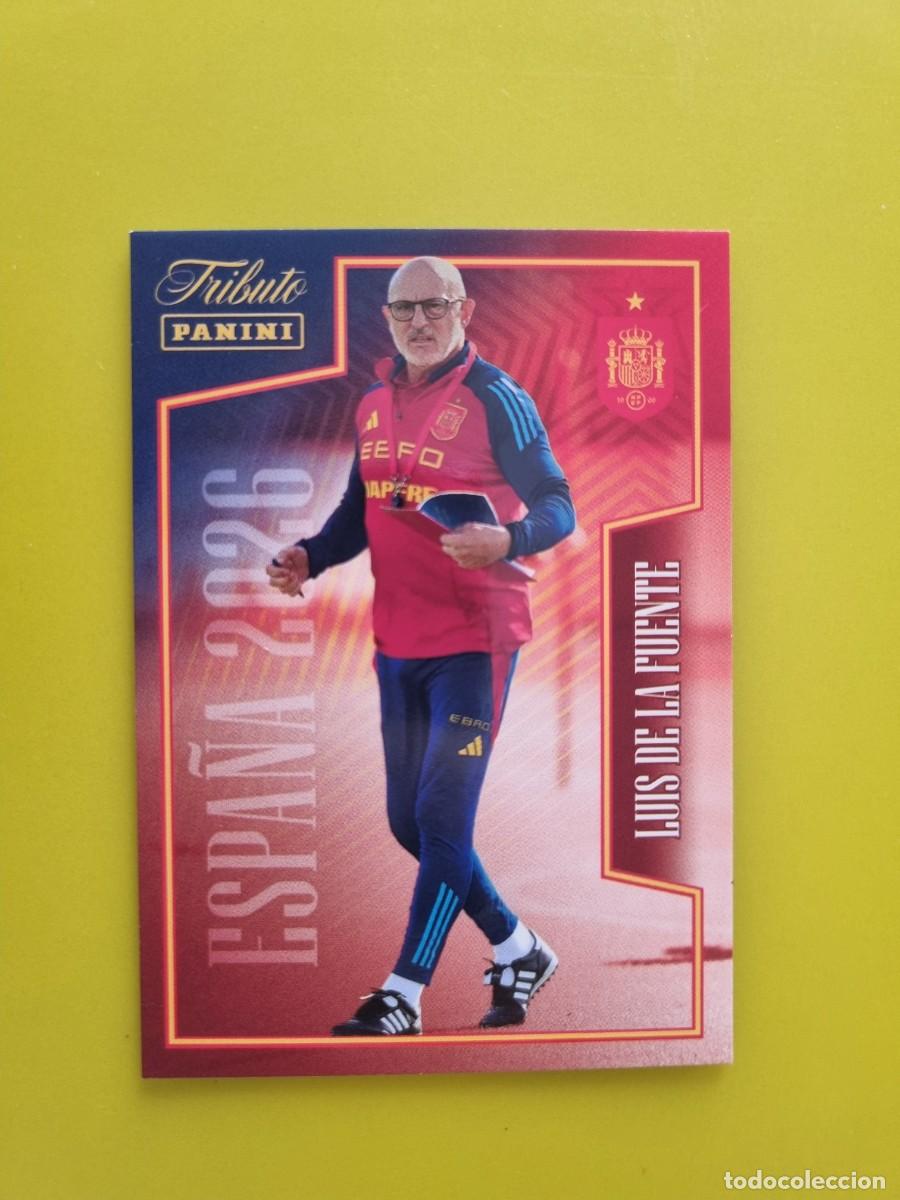 Cromos de f&uacute;tbol: CROMO FUTBOL PANINI TRIBUTO SELECCION ESPA&Ntilde;OLA 10 26 2010 2026 DE LA FUENTE 68 AR926