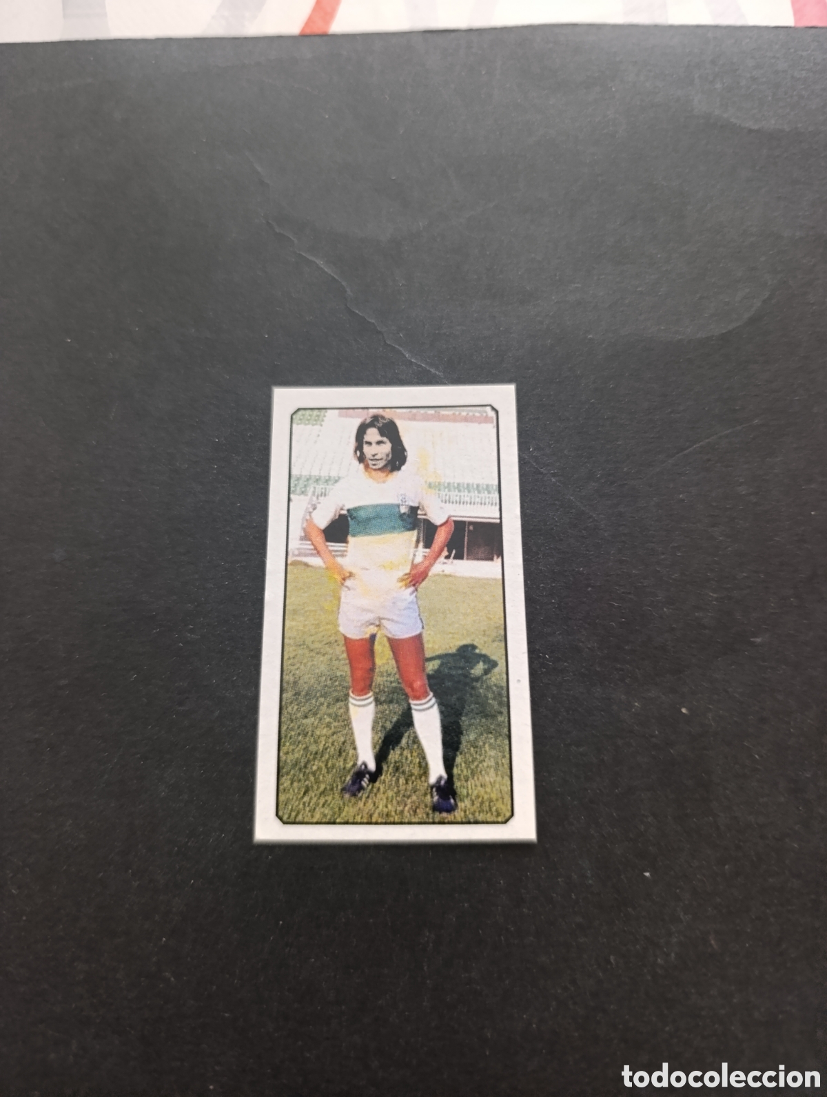 Cromos de f&uacute;tbol: Cromo Alca&ntilde;iz Elche CF Liga Este 77 78, ampliaci&oacute;n de la colecci&oacute;n.