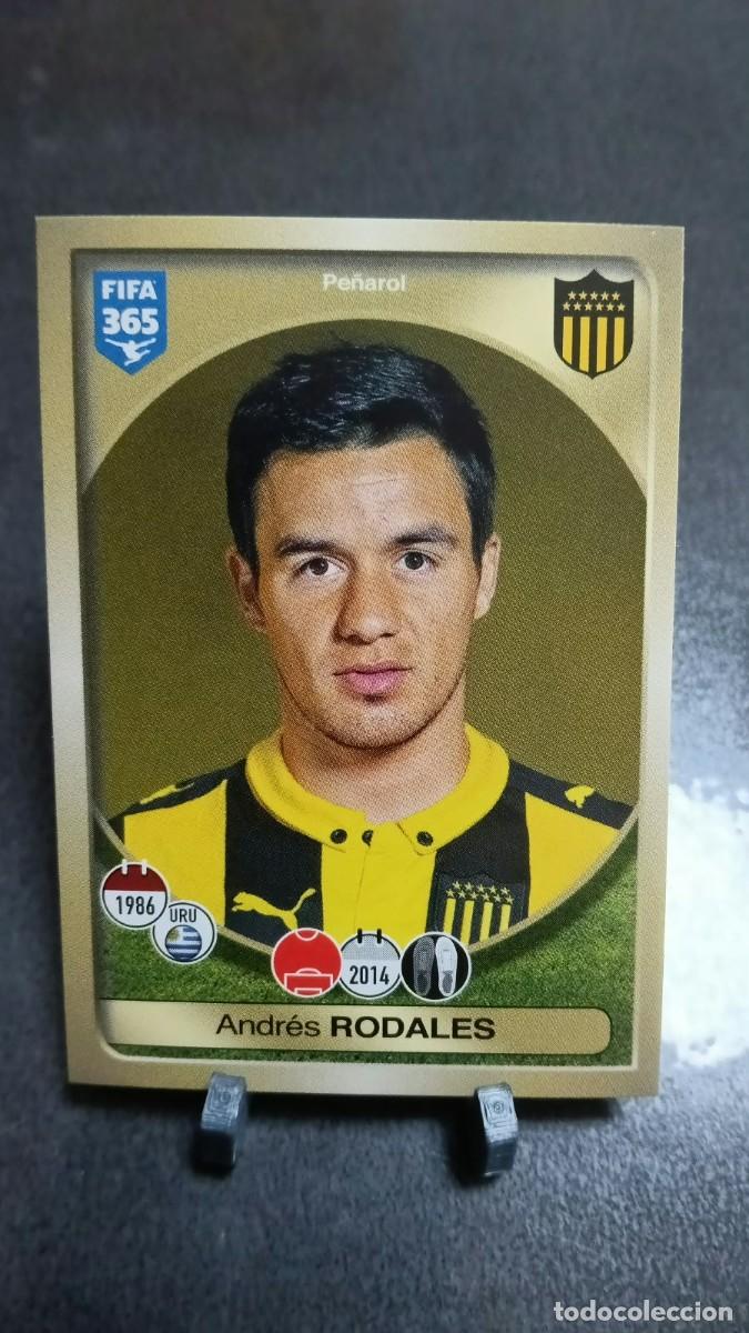 Cromos de f&uacute;tbol: Rodales 591 Pe&ntilde;arol 2016 2017 Fifa 365 Sin Pegar